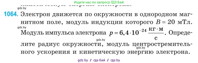 Физика, 10 класс Сборник задач, авторы: Дорофейчик Владимир Владимирович, Белая Ольга Николаевна, издательство Национальный институт образования, Минск, 2022, страница 239, номер 1064, Условие