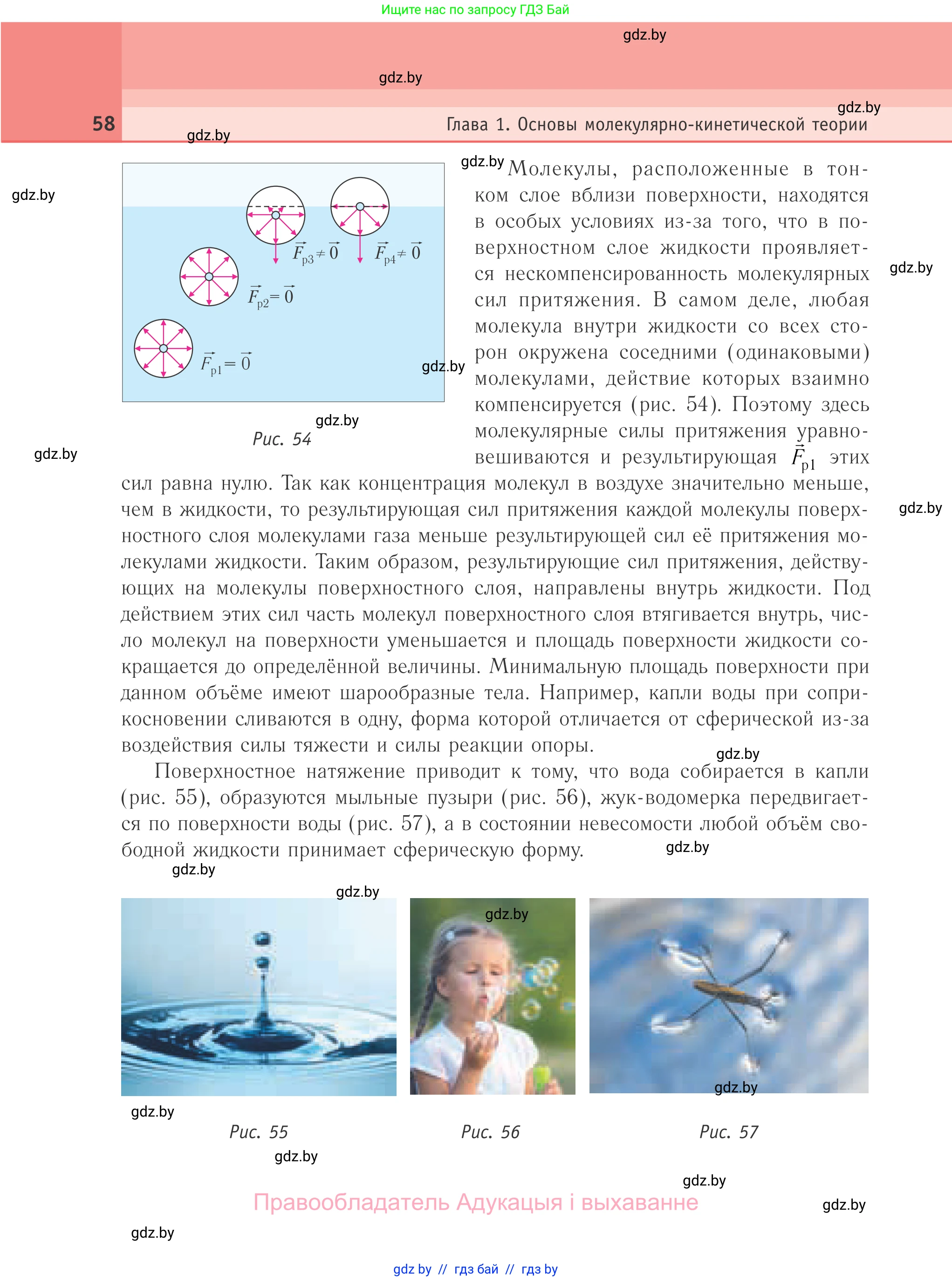 Физика, 10 класс Учебник, авторы: Громыко Елена Владимировна, Зенькович Владимир Иванович, Луцевич Александр Александрович, Слесарь Инесса Эдуардовна, издательство Адукацыя i выхаванне, Минск, 2019, бирюзового цвета, страница 58