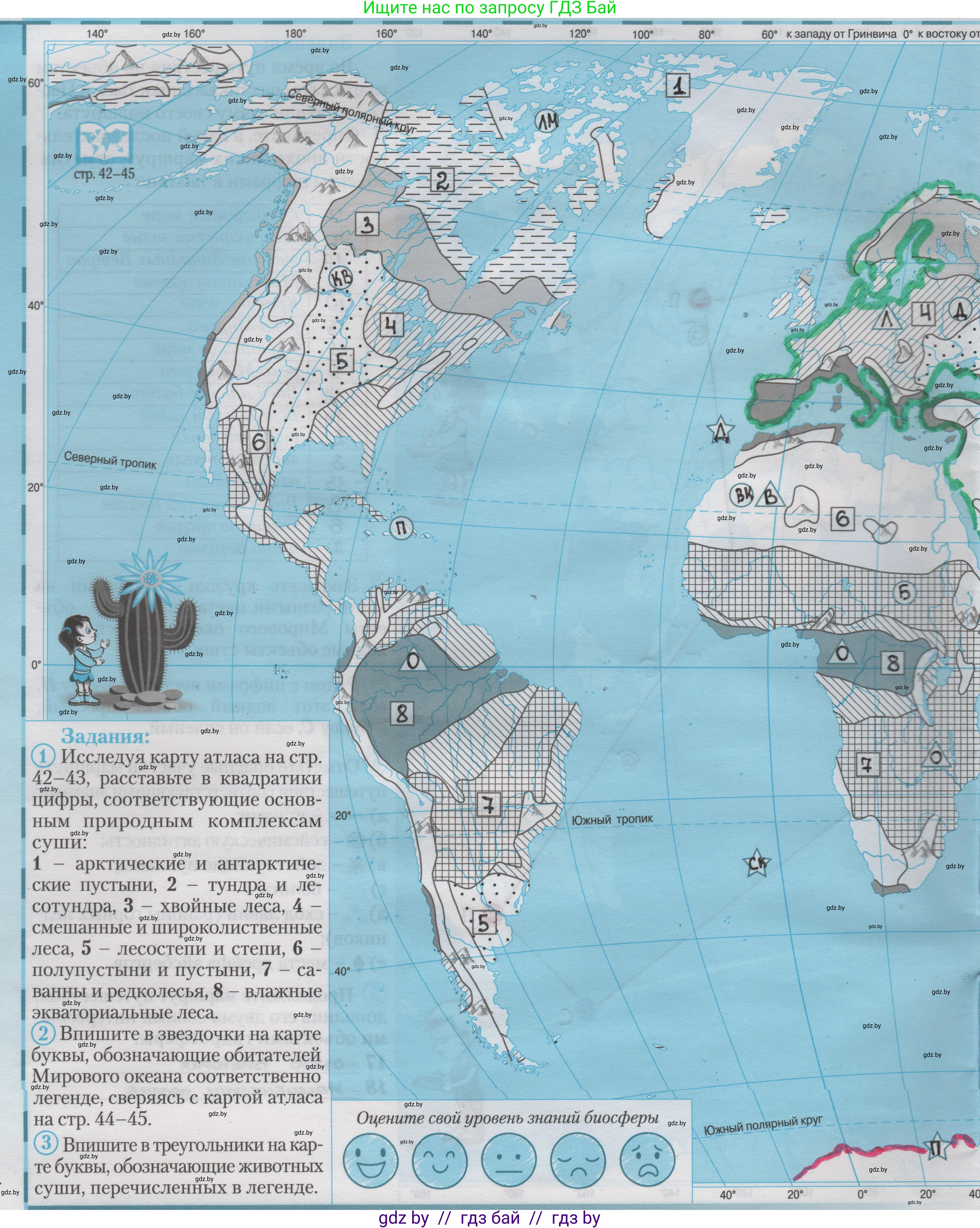 География, 6 класс Контурные карты, авторы: Кольмакова Елена Генадьевна, Пикулик Валентина Владимировна, издательство Белкартография, Минск, 2023, голубого цвета, страница 26, Решение