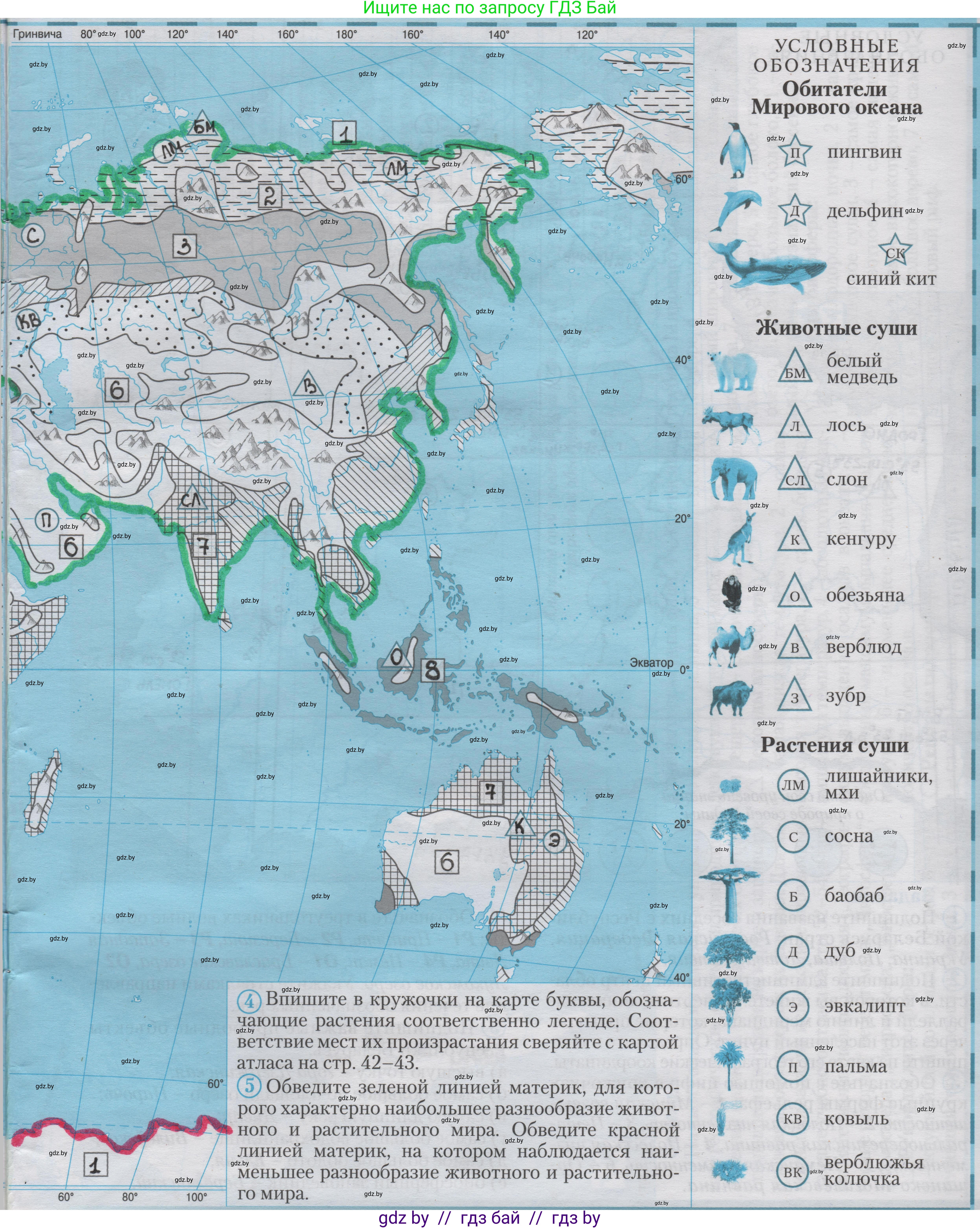 География, 6 класс Контурные карты, авторы: Кольмакова Елена Генадьевна, Пикулик Валентина Владимировна, издательство Белкартография, Минск, 2023, голубого цвета, страница 27, Решение