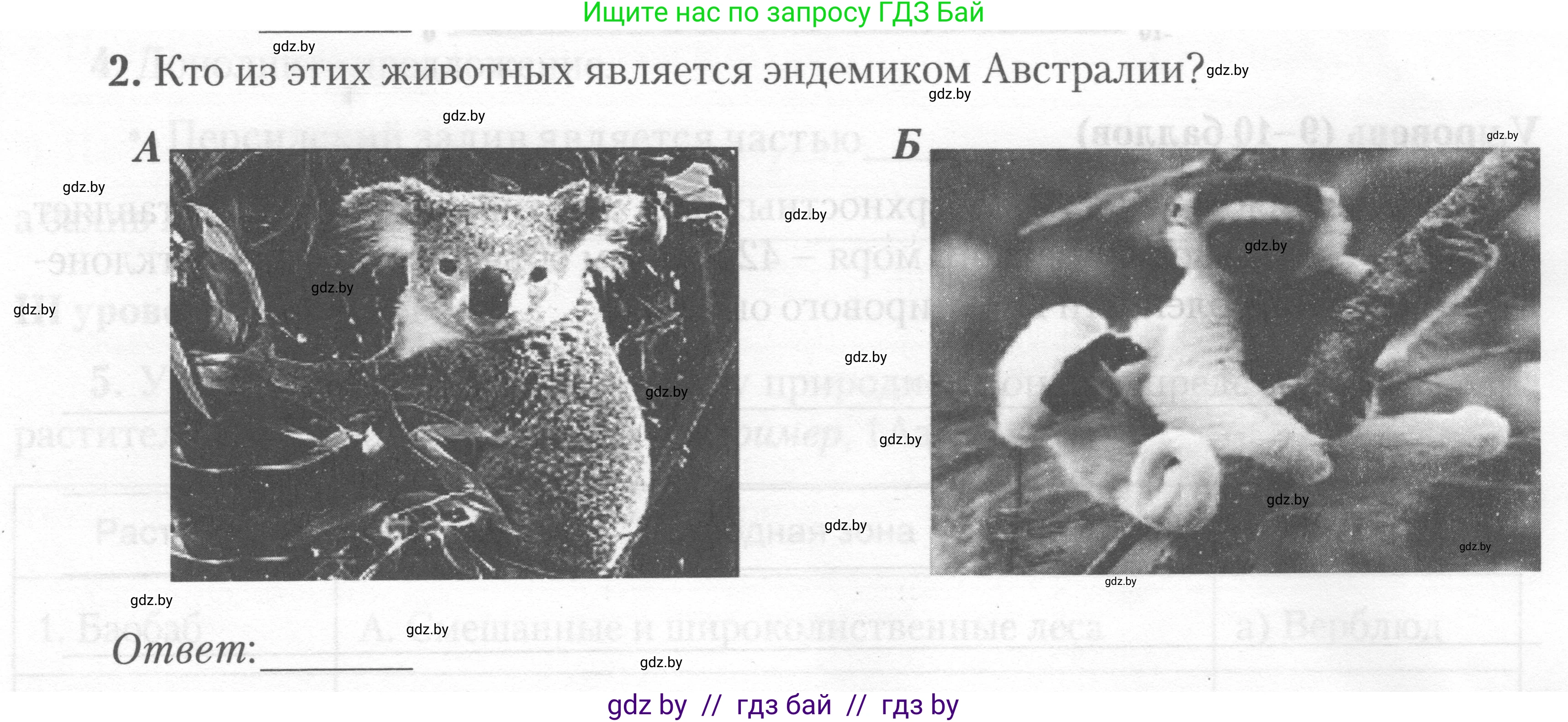 География, 7 класс тетрадь для практических и самостоятельных работ, авторы: Метельский Юрий Михайлович, Чайковская Людмила Ивановна, издательство Сэр-Вит, Минск, 2023, бирюзового цвета, страница 26, номер 2, Условие