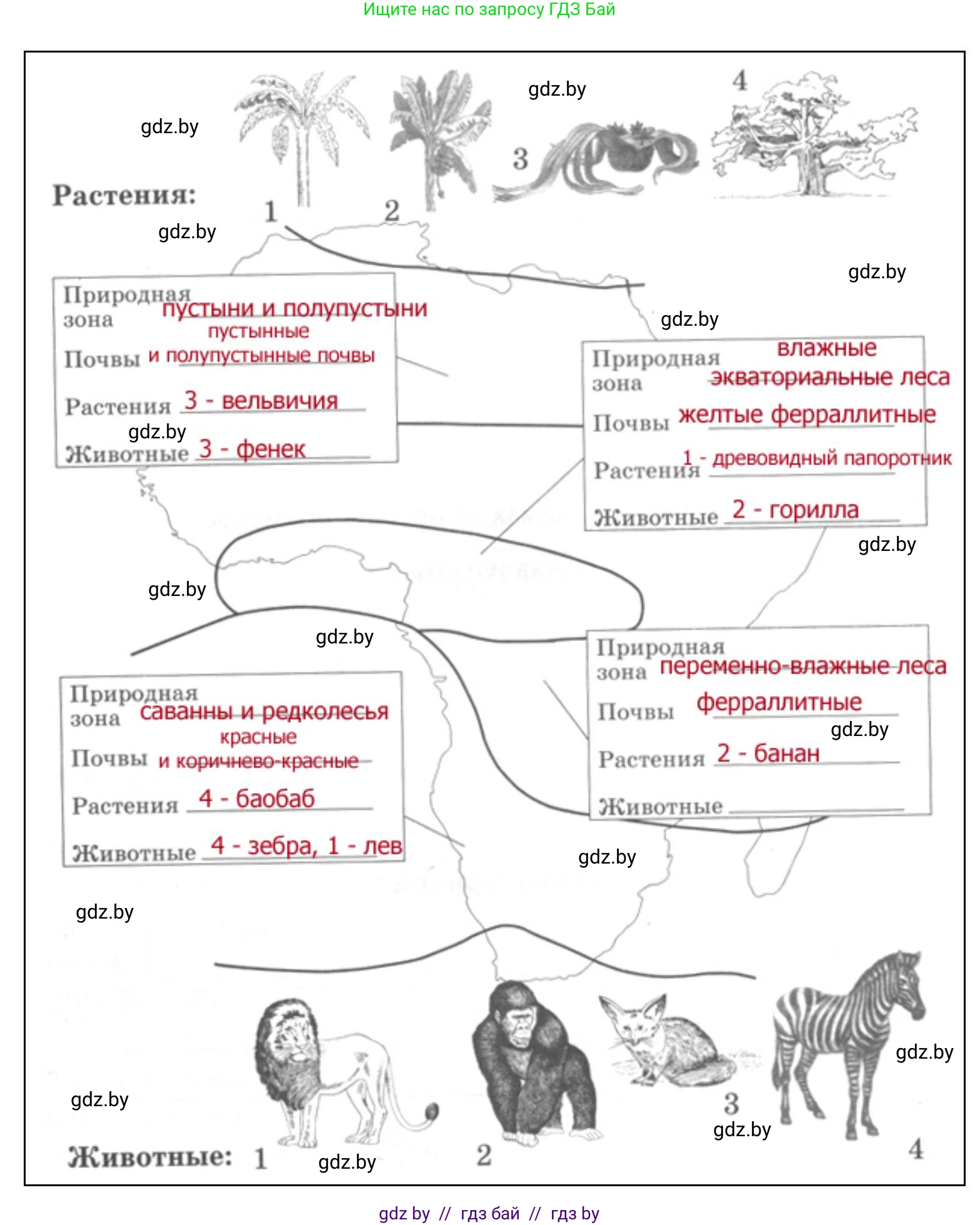 География, 7 класс Тетрадь для практических работ и индивидуальных заданий, авторы: Витченко Александр Николаевич, Станкевич Наталья Григорьевна, издательство Аверсэв, Минск, 2022, страница 30, номер 14, Решение (продолжение 2)