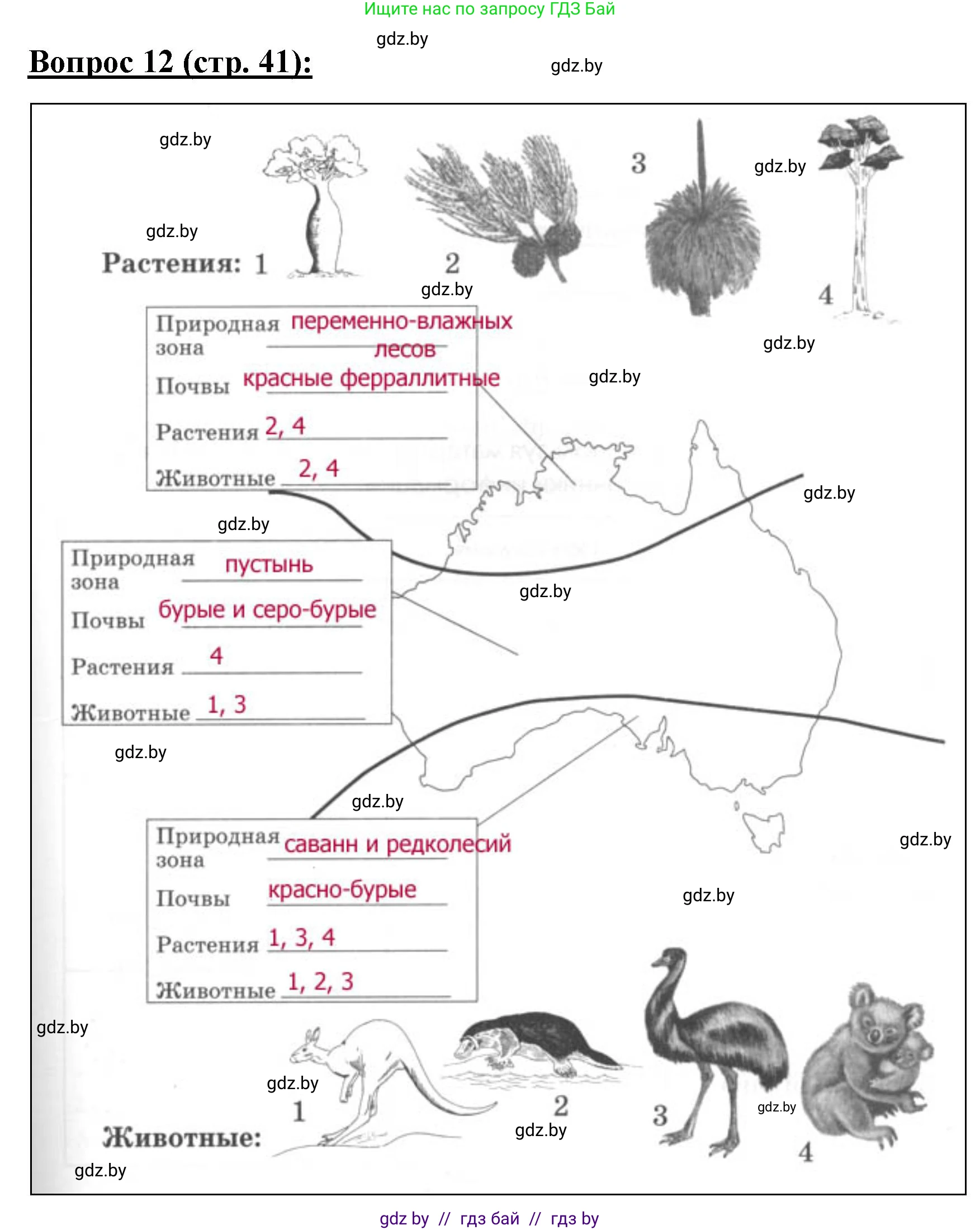 География, 7 класс Тетрадь для практических работ и индивидуальных заданий, авторы: Витченко Александр Николаевич, Станкевич Наталья Григорьевна, издательство Аверсэв, Минск, 2022, страница 41, номер 12, Решение