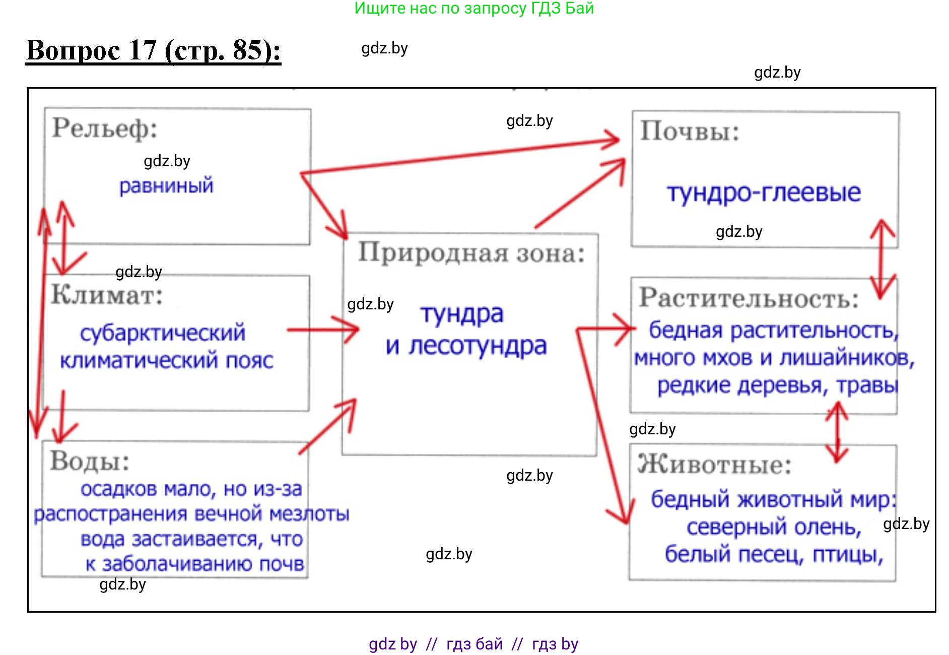География, 7 класс Тетрадь для практических работ и индивидуальных заданий, авторы: Витченко Александр Николаевич, Станкевич Наталья Григорьевна, издательство Аверсэв, Минск, 2022, страница 85, номер 17, Решение