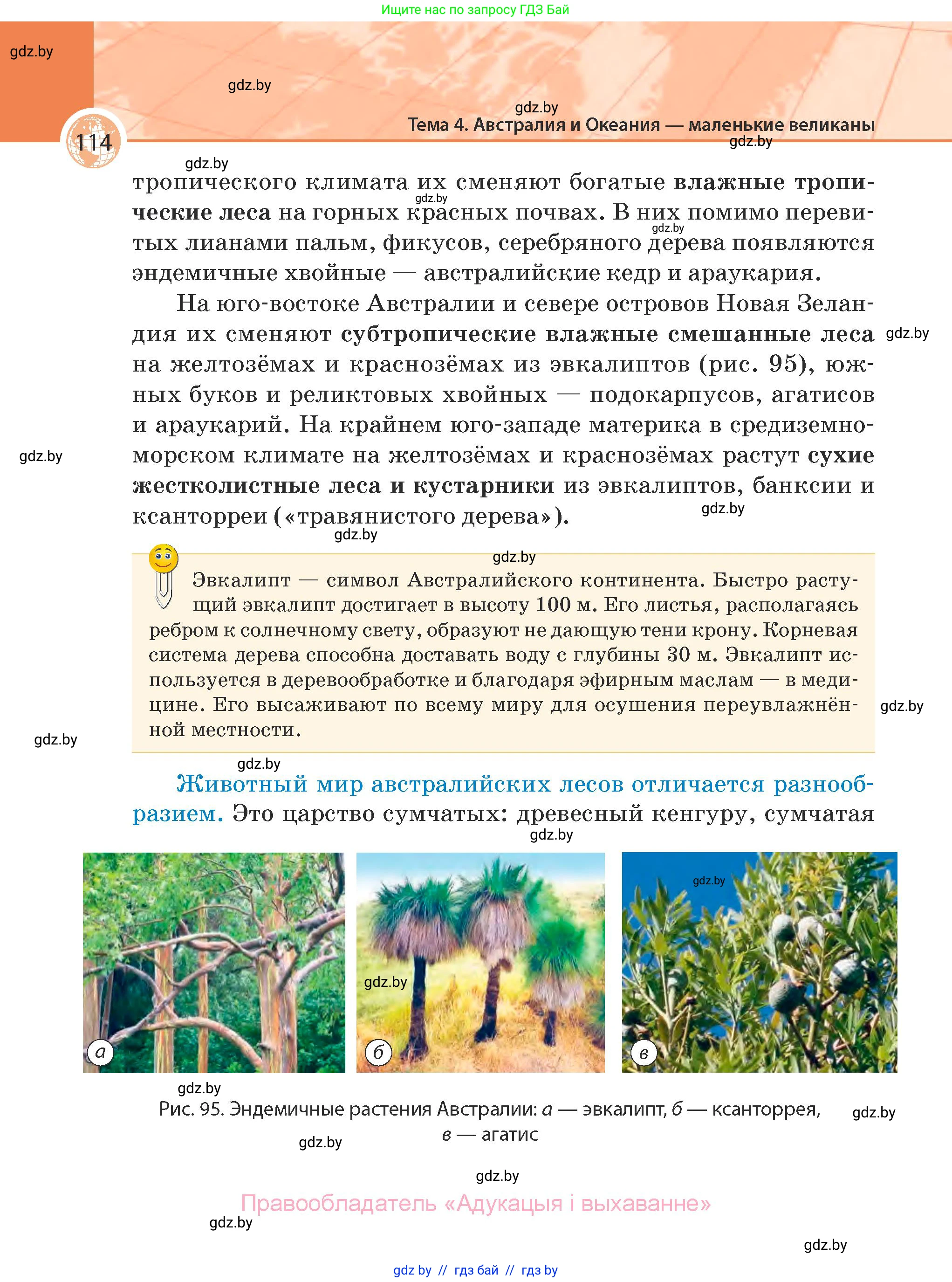 География, 7 класс Учебник, авторы: Кольмакова Елена Генадьевна, Лопух Пётр Степанович, Сарычева Ольга Владимировна, издательство Адукацыя i выхаванне, Минск, 2023, страница 114