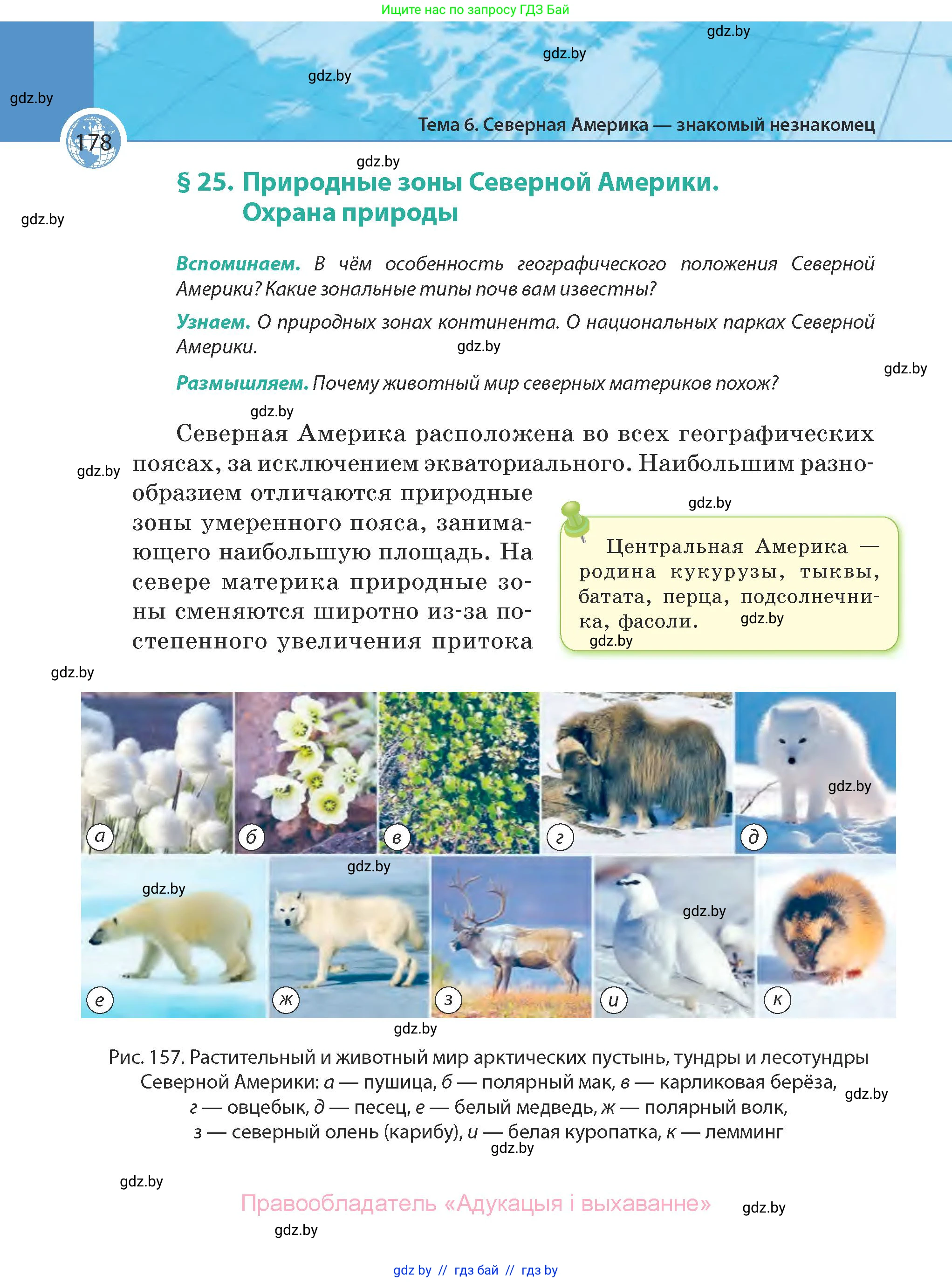География, 7 класс Учебник, авторы: Кольмакова Елена Генадьевна, Лопух Пётр Степанович, Сарычева Ольга Владимировна, издательство Адукацыя i выхаванне, Минск, 2023, страница 178
