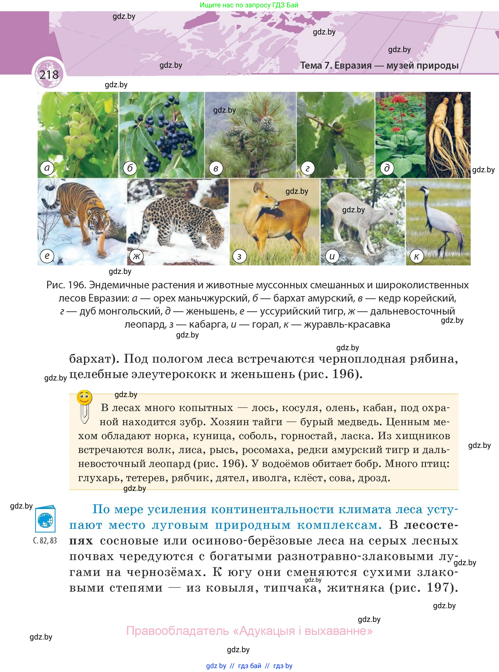 География, 7 класс Учебник, авторы: Кольмакова Елена Генадьевна, Лопух Пётр Степанович, Сарычева Ольга Владимировна, издательство Адукацыя i выхаванне, Минск, 2023, страница 218