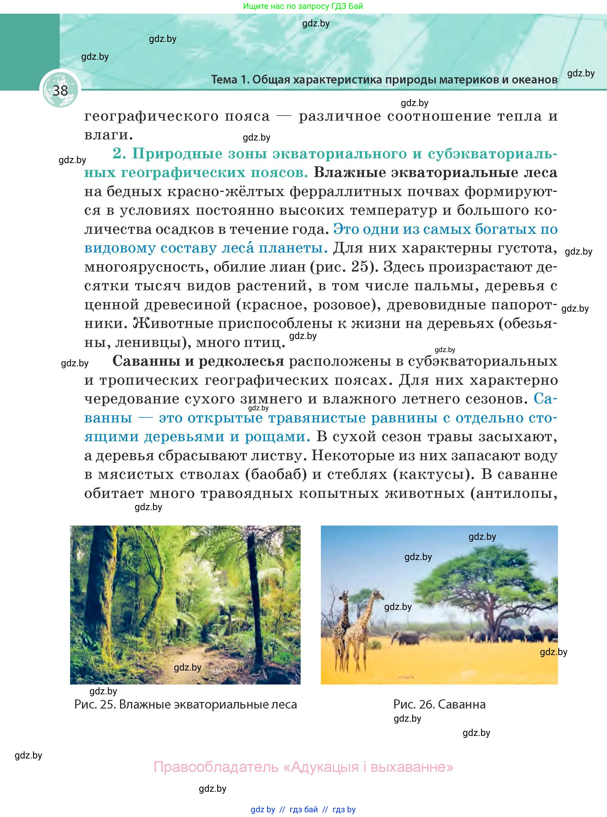 География, 7 класс Учебник, авторы: Кольмакова Елена Генадьевна, Лопух Пётр Степанович, Сарычева Ольга Владимировна, издательство Адукацыя i выхаванне, Минск, 2023, страница 38