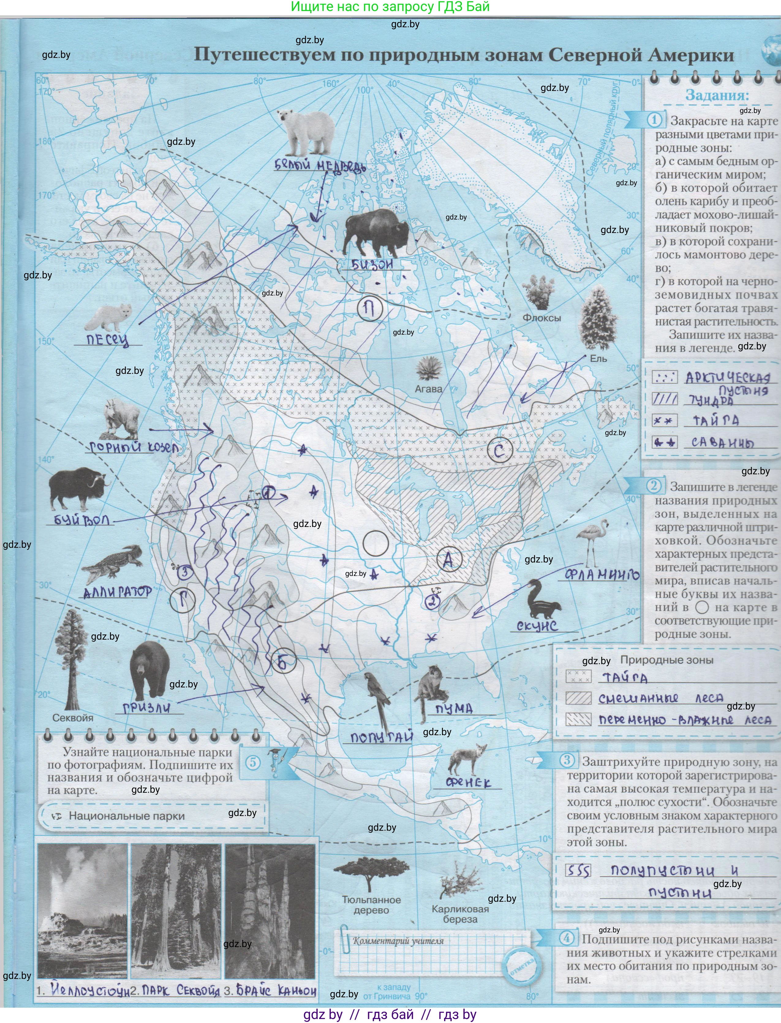 География, 7 класс Контурные карты, авторы: Кольмакова Елена Генадьевна, Сарычева Ольга Владимировна, издательство Белкартография, Минск, 2021, голубого цвета, страница 35, Решение