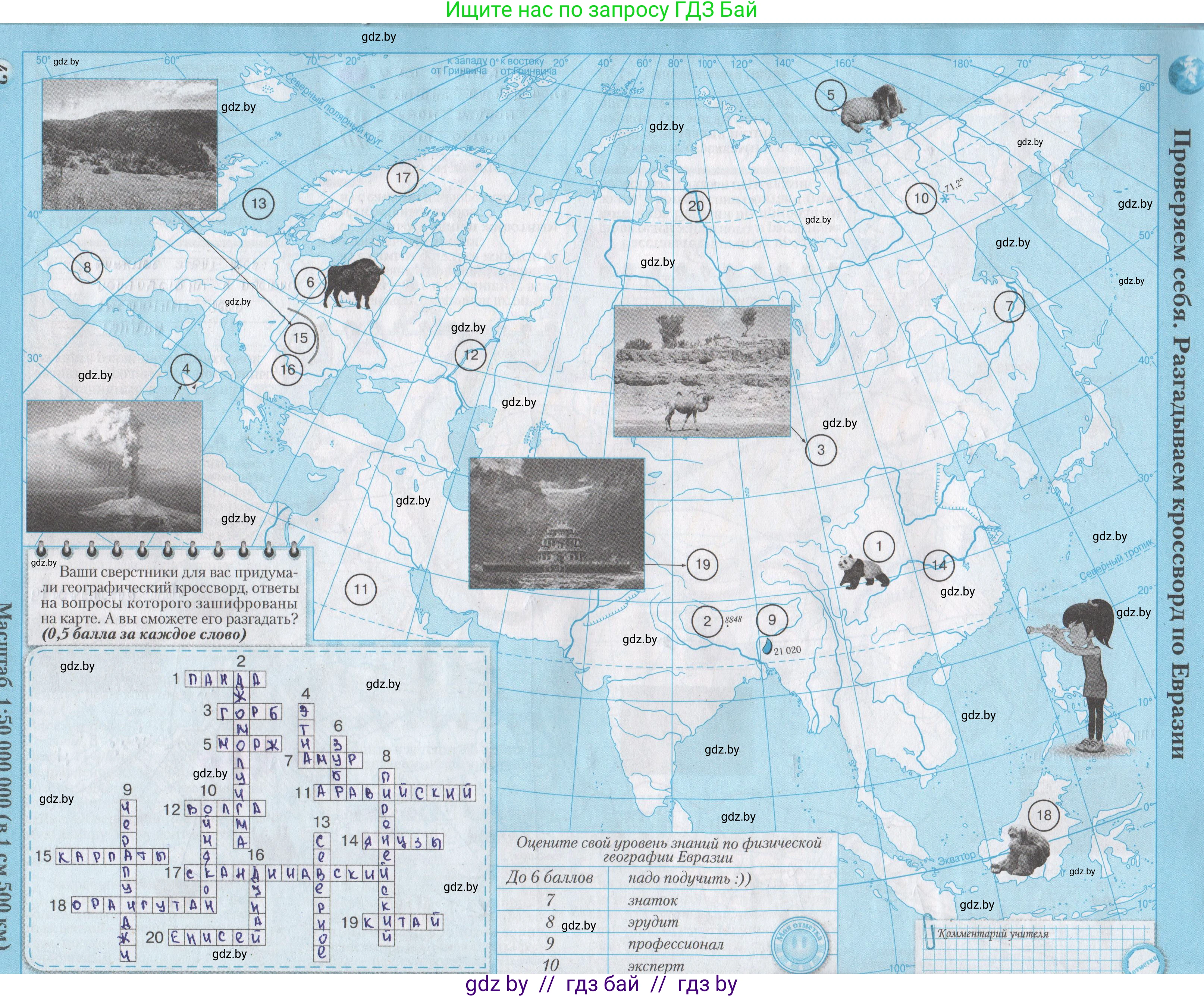 География, 7 класс Контурные карты, авторы: Кольмакова Елена Генадьевна, Сарычева Ольга Владимировна, издательство Белкартография, Минск, 2021, голубого цвета, страница 42, Решение