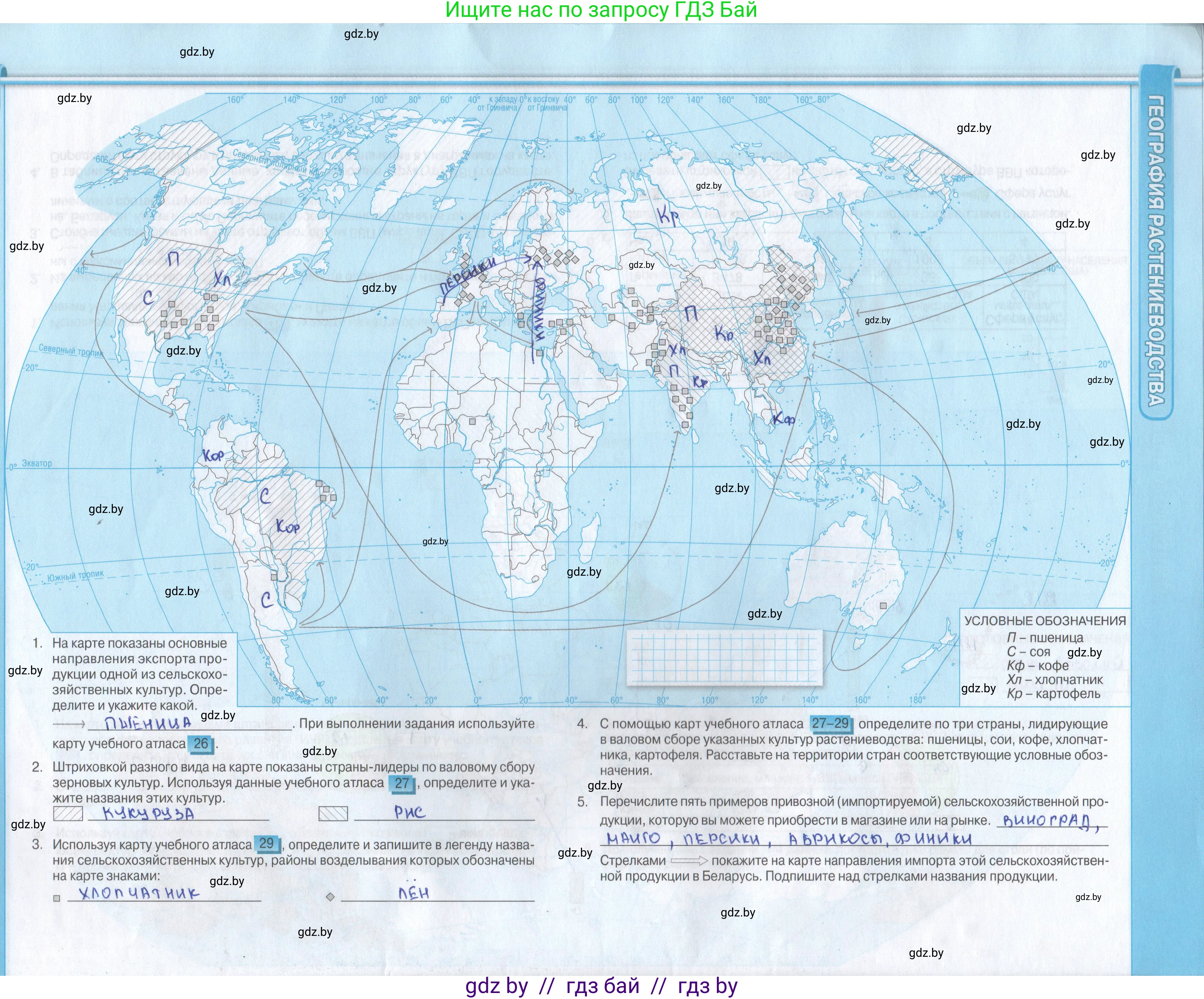 География, 8 класс Контурные карты, авторы: Озем Г З, Ольмец Л Г, Шкель Людмила Валерьевна, Фокеева Л В, издательство Белкартография, Минск, 2022, голубого цвета, страница 12, Решение