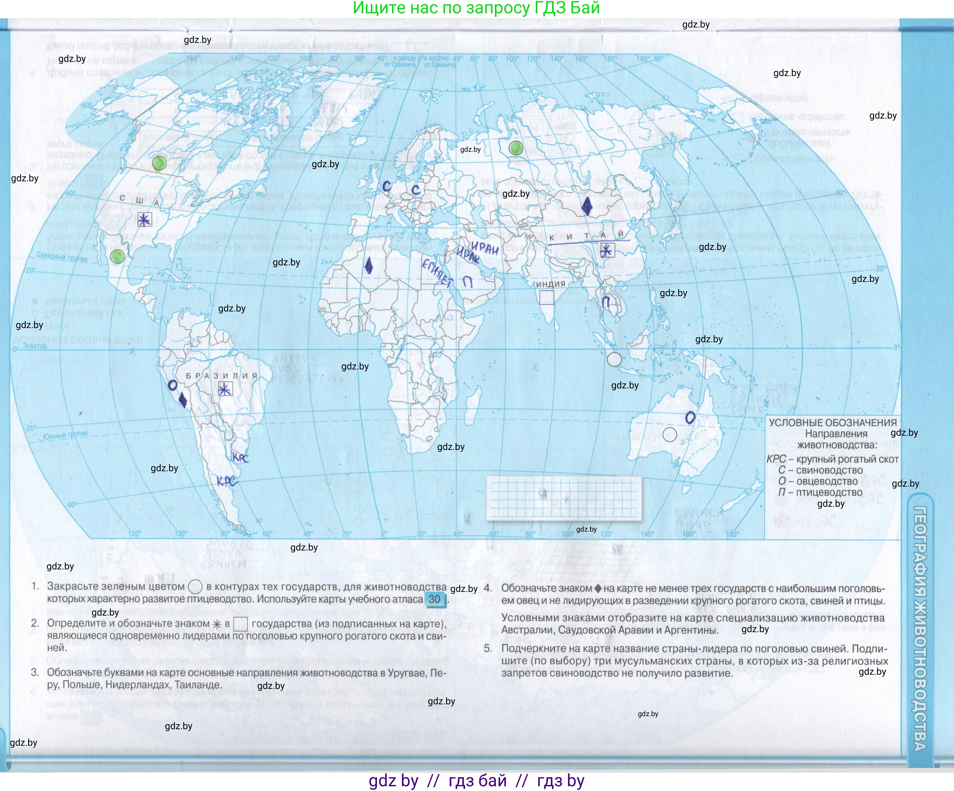 География, 8 класс Контурные карты, авторы: Озем Г З, Ольмец Л Г, Шкель Людмила Валерьевна, Фокеева Л В, издательство Белкартография, Минск, 2022, голубого цвета, страница 13, Решение