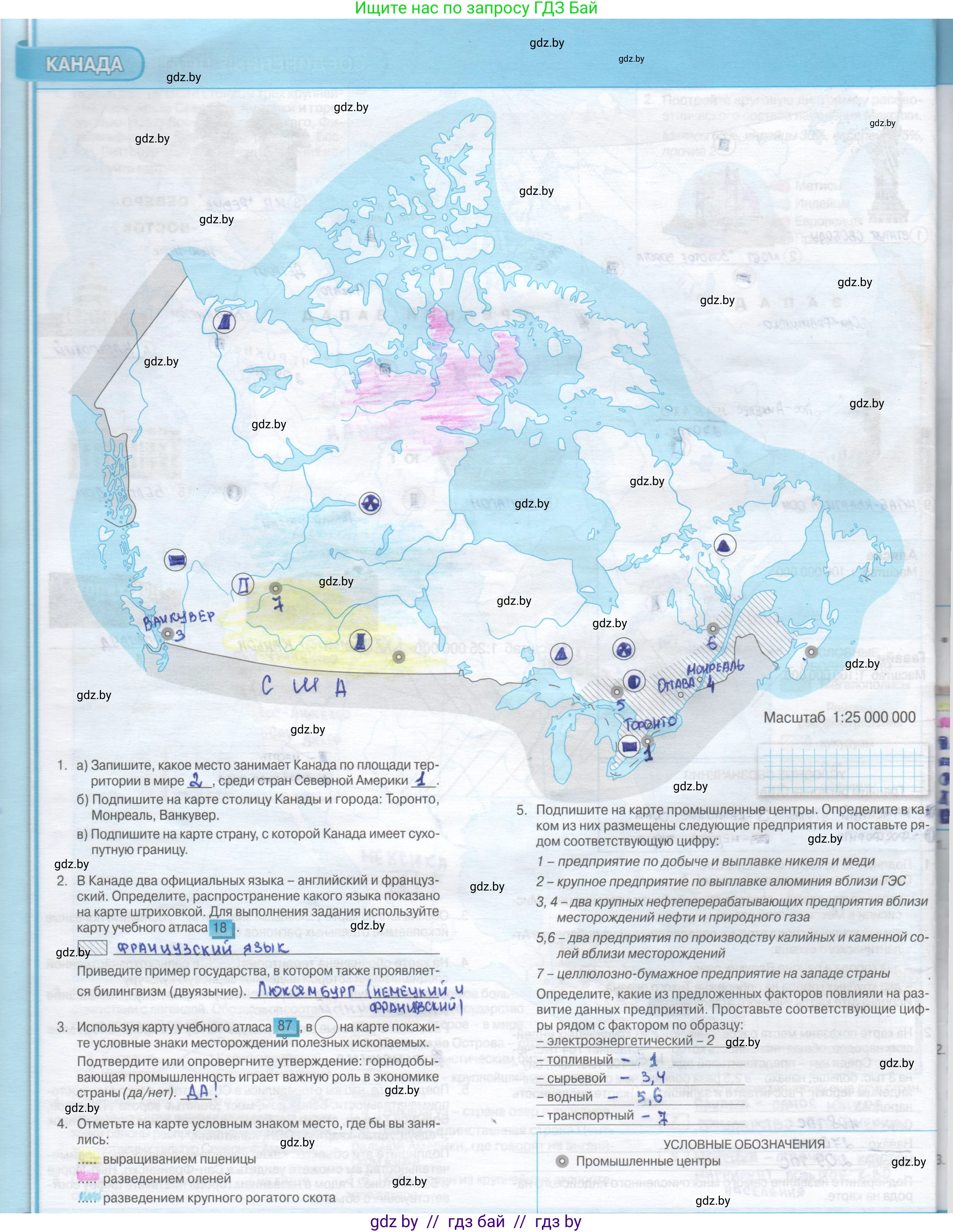 География, 8 класс Контурные карты, авторы: Озем Г З, Ольмец Л Г, Шкель Людмила Валерьевна, Фокеева Л В, издательство Белкартография, Минск, 2022, голубого цвета, страница 42, Решение