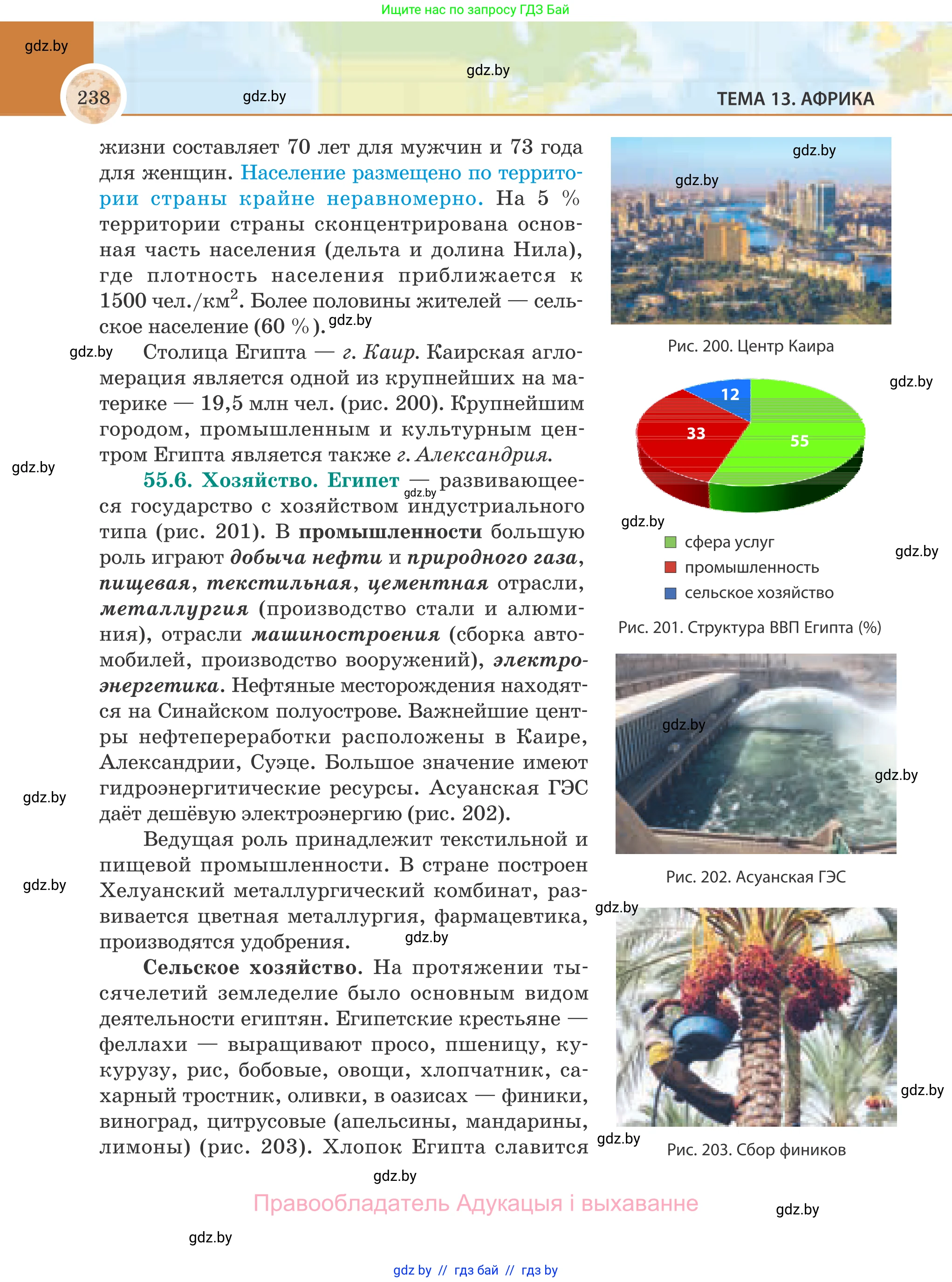 География, 8 класс Учебник, авторы: Лопух Пётр Степанович, Стреха Николай Леонидович, Сарычева Ольга Владимировна, Шандроха Андрей Генадьевич, издательство Адукацыя i выхаванне, Минск, 2019, страница 238