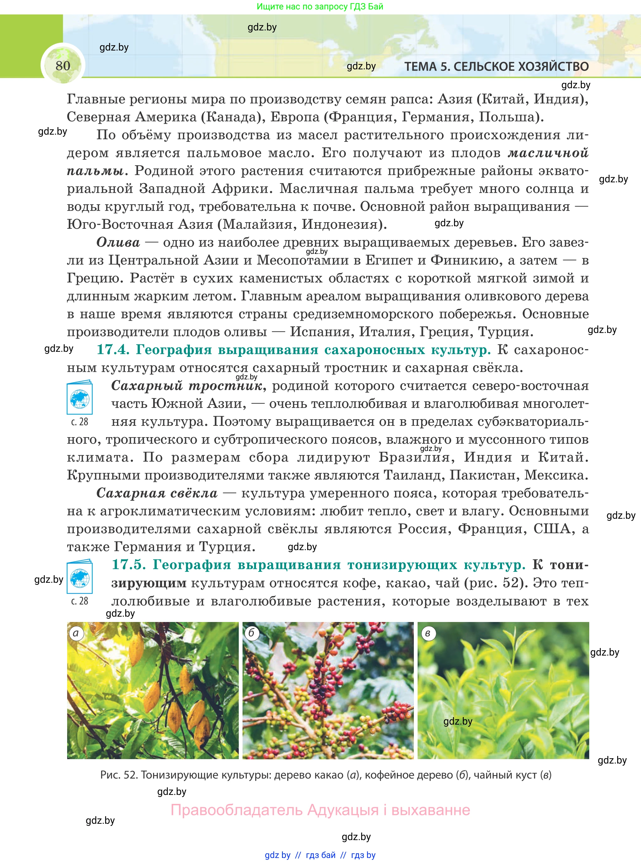 География, 8 класс Учебник, авторы: Лопух Пётр Степанович, Стреха Николай Леонидович, Сарычева Ольга Владимировна, Шандроха Андрей Генадьевич, издательство Адукацыя i выхаванне, Минск, 2019, страница 80