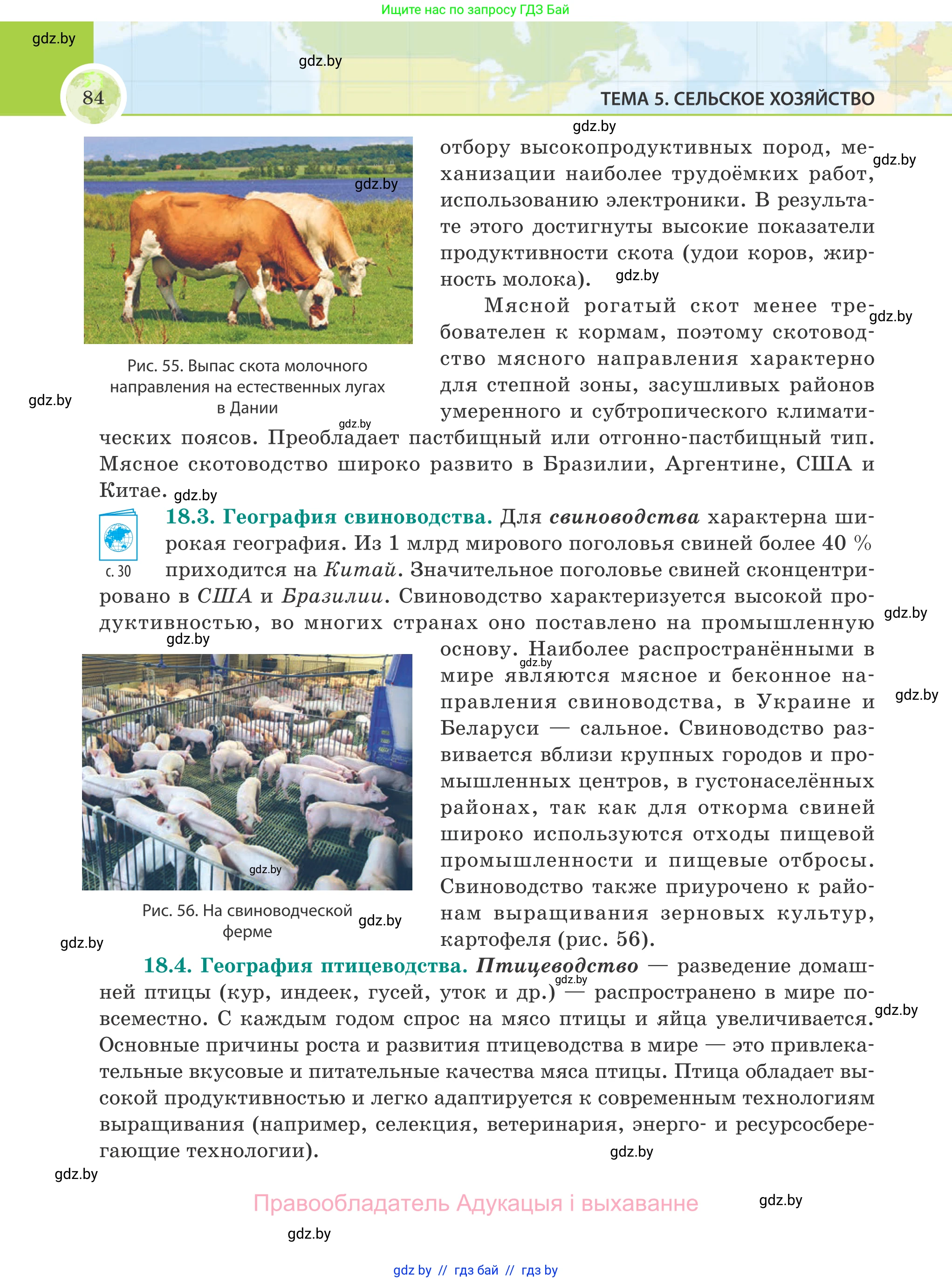 География, 8 класс Учебник, авторы: Лопух Пётр Степанович, Стреха Николай Леонидович, Сарычева Ольга Владимировна, Шандроха Андрей Генадьевич, издательство Адукацыя i выхаванне, Минск, 2019, страница 84