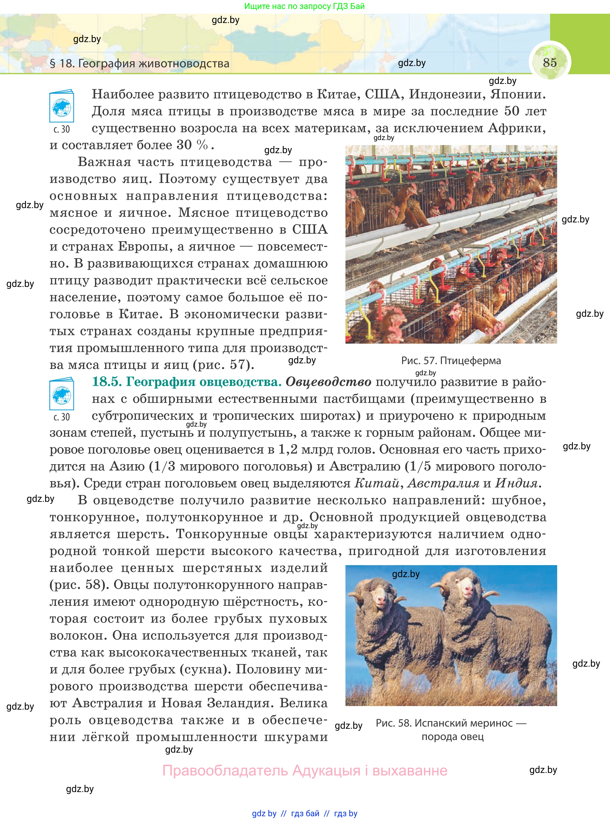 География, 8 класс Учебник, авторы: Лопух Пётр Степанович, Стреха Николай Леонидович, Сарычева Ольга Владимировна, Шандроха Андрей Генадьевич, издательство Адукацыя i выхаванне, Минск, 2019, страница 85
