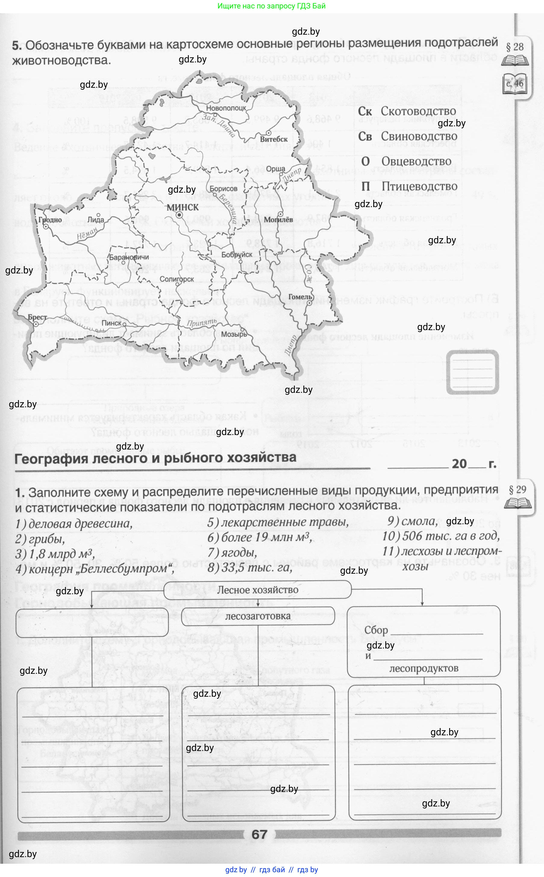 География, 9 класс рабочая тетрадь, авторы: Брилевский Михаил Николаевич, Климович Алеся Владимировна, издательство Белкартография, Минск, 2021, бирюзового цвета, страница 67