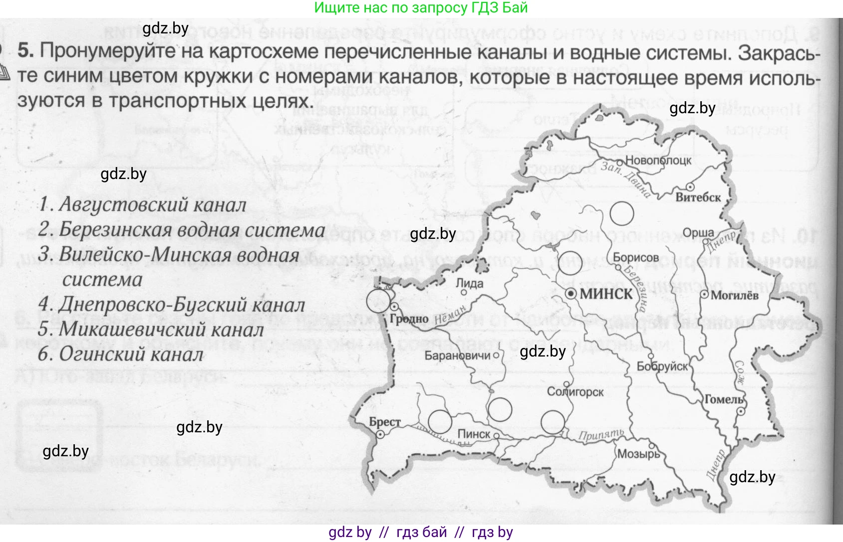 География, 9 класс рабочая тетрадь, авторы: Брилевский Михаил Николаевич, Климович Алеся Владимировна, издательство Белкартография, Минск, 2021, бирюзового цвета, страница 24, номер 5, Условие