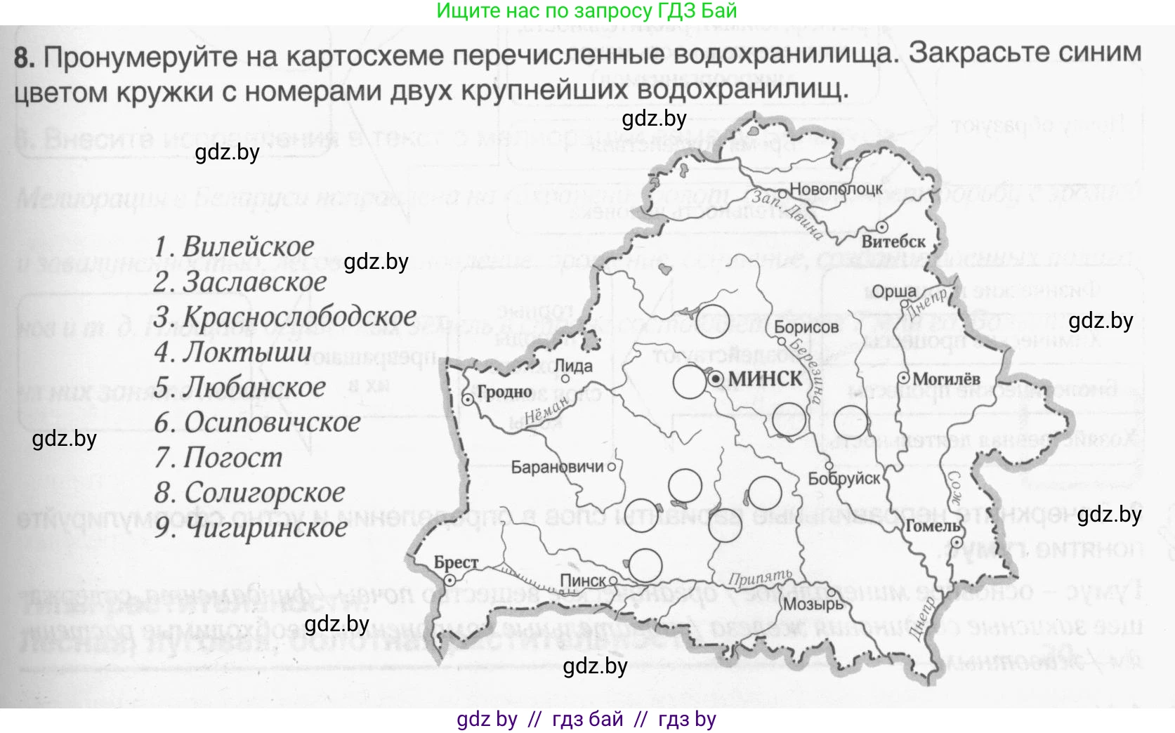 География, 9 класс рабочая тетрадь, авторы: Брилевский Михаил Николаевич, Климович Алеся Владимировна, издательство Белкартография, Минск, 2021, бирюзового цвета, страница 25, номер 8, Условие