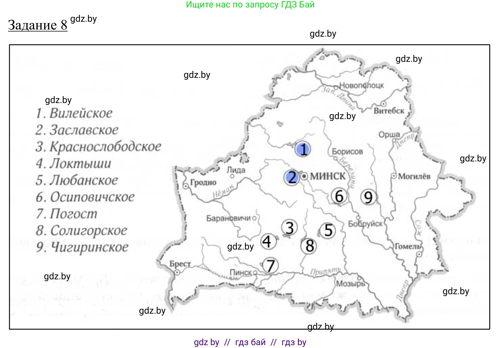 География, 9 класс рабочая тетрадь, авторы: Брилевский Михаил Николаевич, Климович Алеся Владимировна, издательство Белкартография, Минск, 2021, бирюзового цвета, страница 25, номер 8, Решение