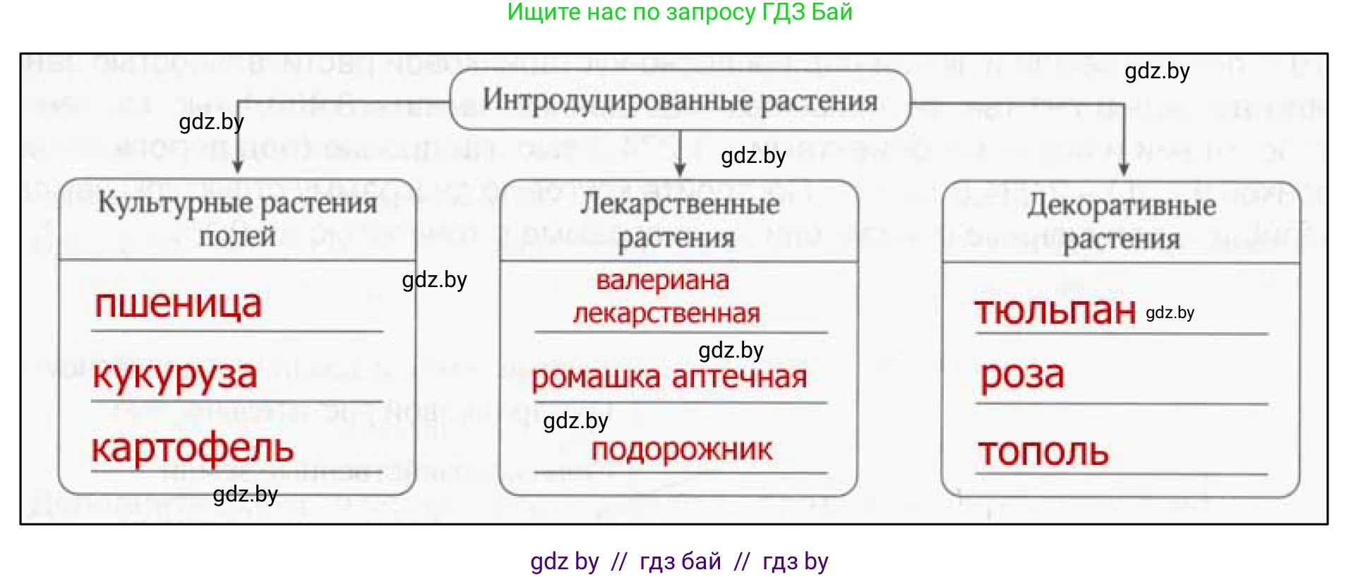 География, 9 класс рабочая тетрадь, авторы: Брилевский Михаил Николаевич, Климович Алеся Владимировна, издательство Белкартография, Минск, 2021, бирюзового цвета, страница 28, номер 3, Решение (продолжение 2)