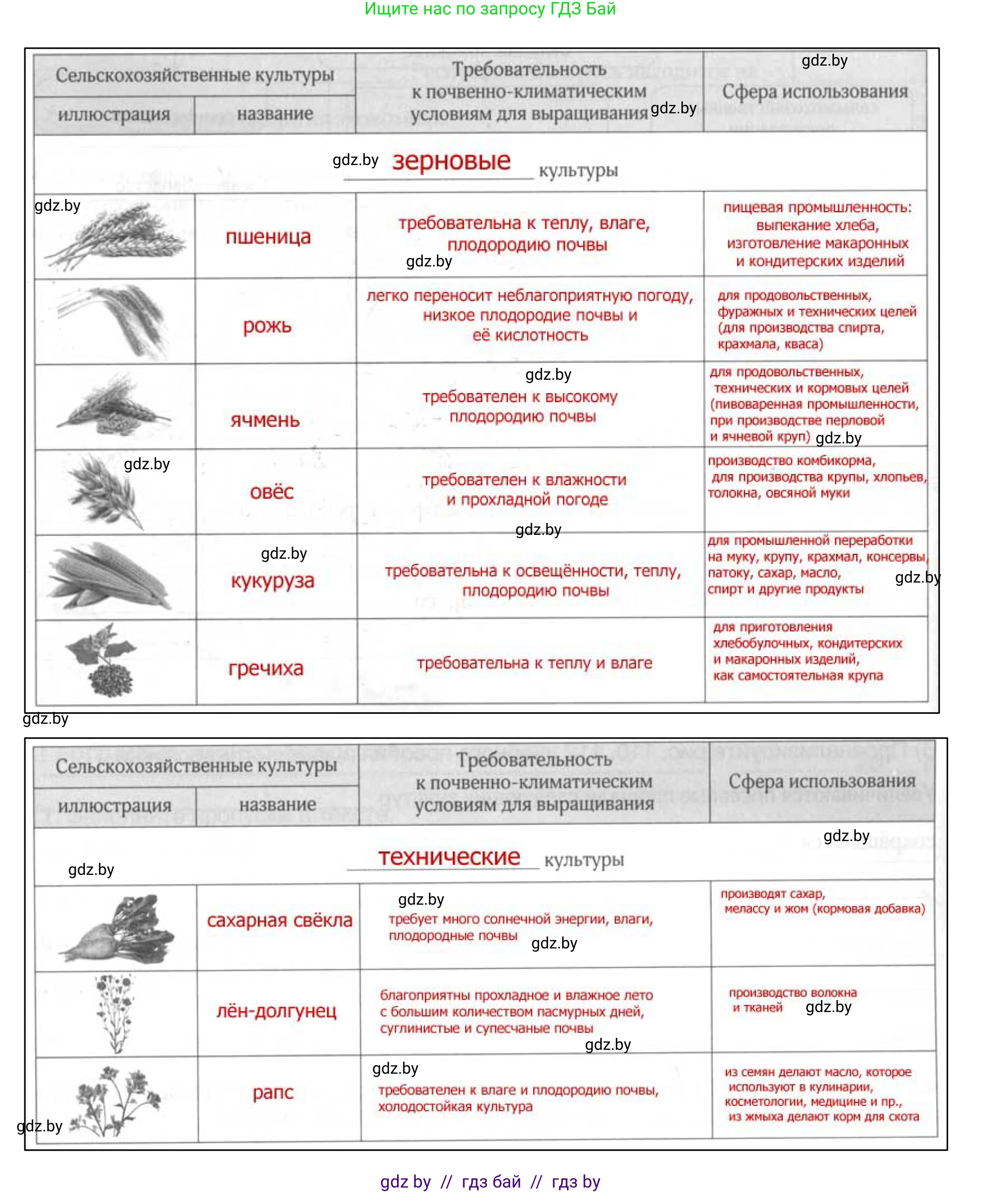География, 9 класс рабочая тетрадь, авторы: Брилевский Михаил Николаевич, Климович Алеся Владимировна, издательство Белкартография, Минск, 2021, бирюзового цвета, страница 62, номер 3, Решение (продолжение 2)