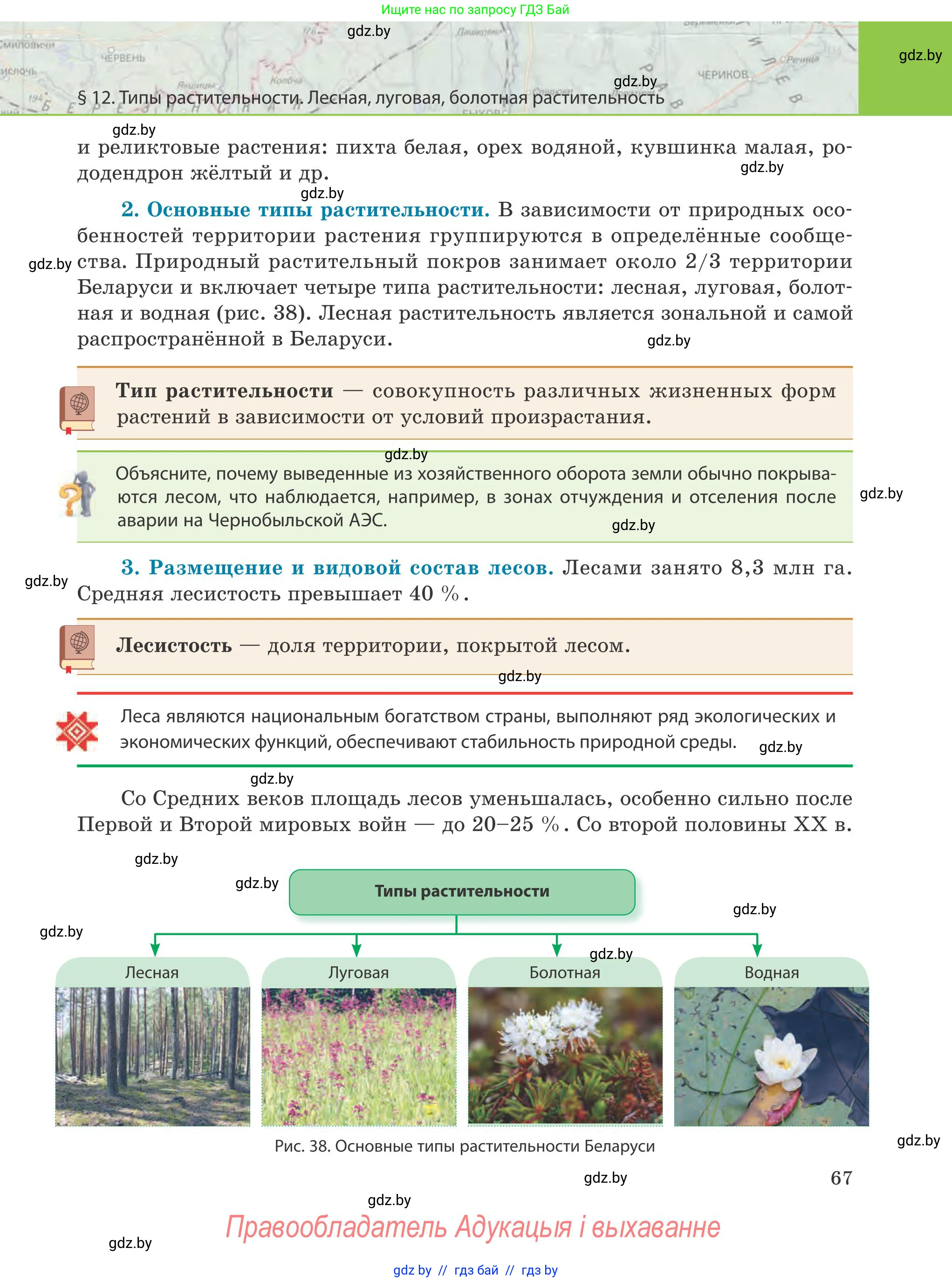 География, 9 класс Учебник, авторы: Брилевский Михаил Николаевич, Климович Алеся Владимировна, издательство Адукацыя i выхаванне, Минск, 2025, страница 67
