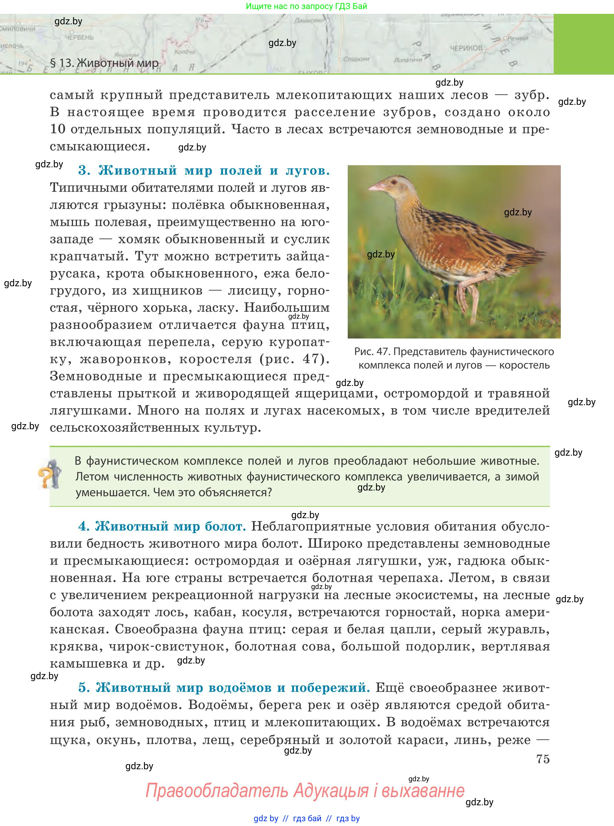 География, 9 класс Учебник, авторы: Брилевский Михаил Николаевич, Климович Алеся Владимировна, издательство Адукацыя i выхаванне, Минск, 2025, страница 75