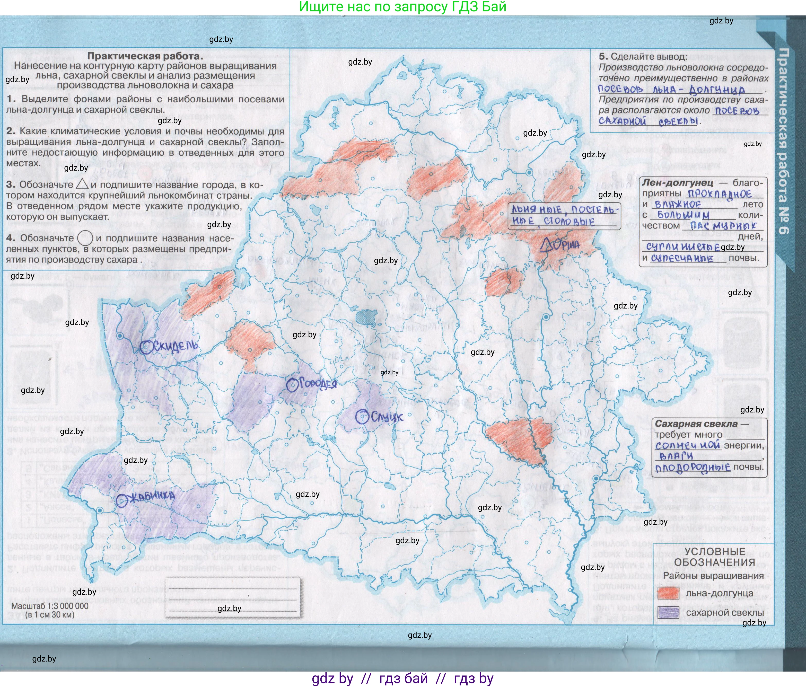 География, 9 класс Контурные карты, авторы: Брилевский Михаил Николаевич, Климович Алеся Владимировна, издательство Белкартография, Минск, 2022, голубого цвета, страница 24, Решение