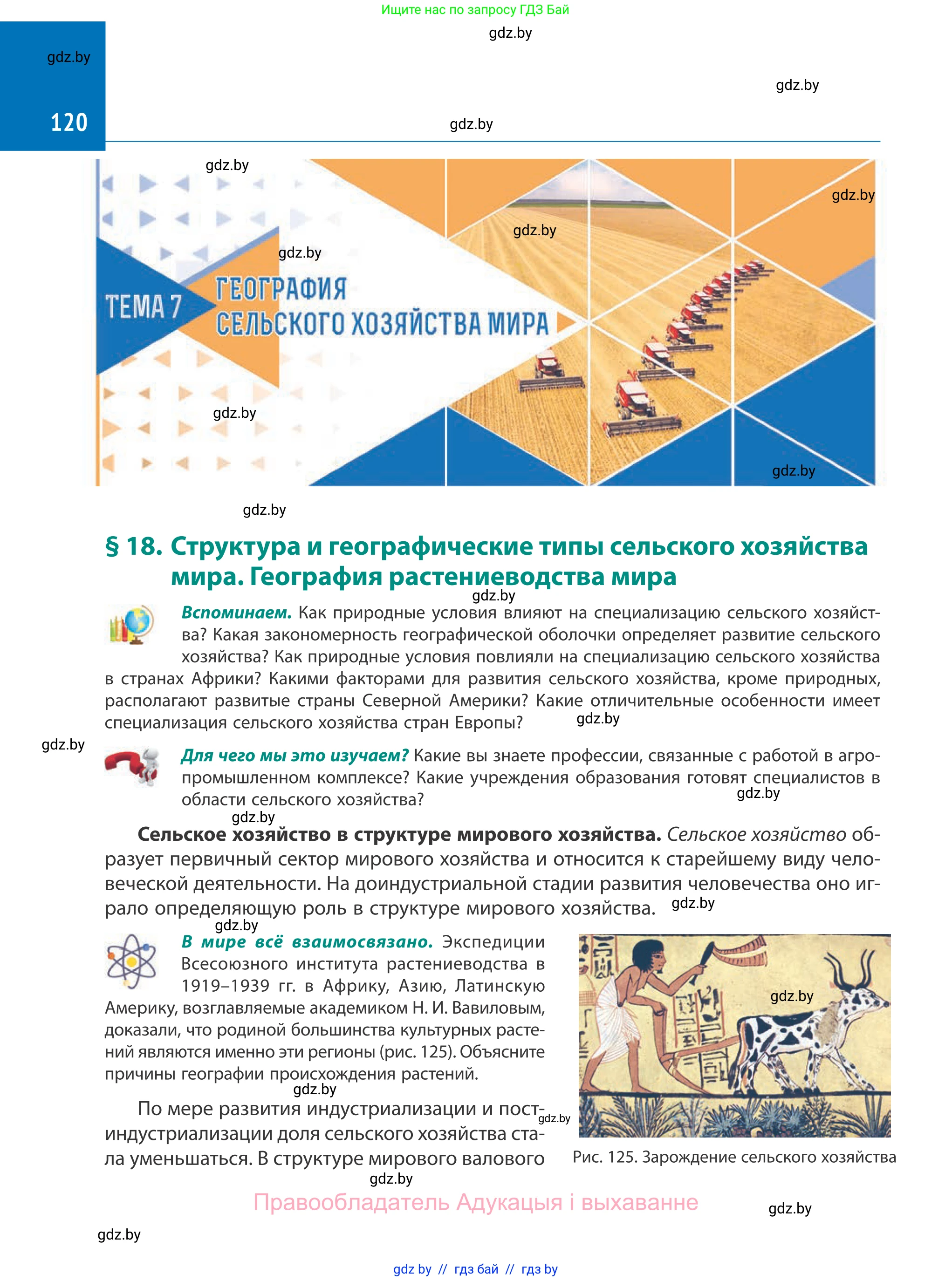 География, 10 класс Учебник, авторы: Антипова Екатерина Анатольевна, Гузова Ольга Николаевна, издательство Адукацыя i выхаванне, Минск, 2019, страница 120