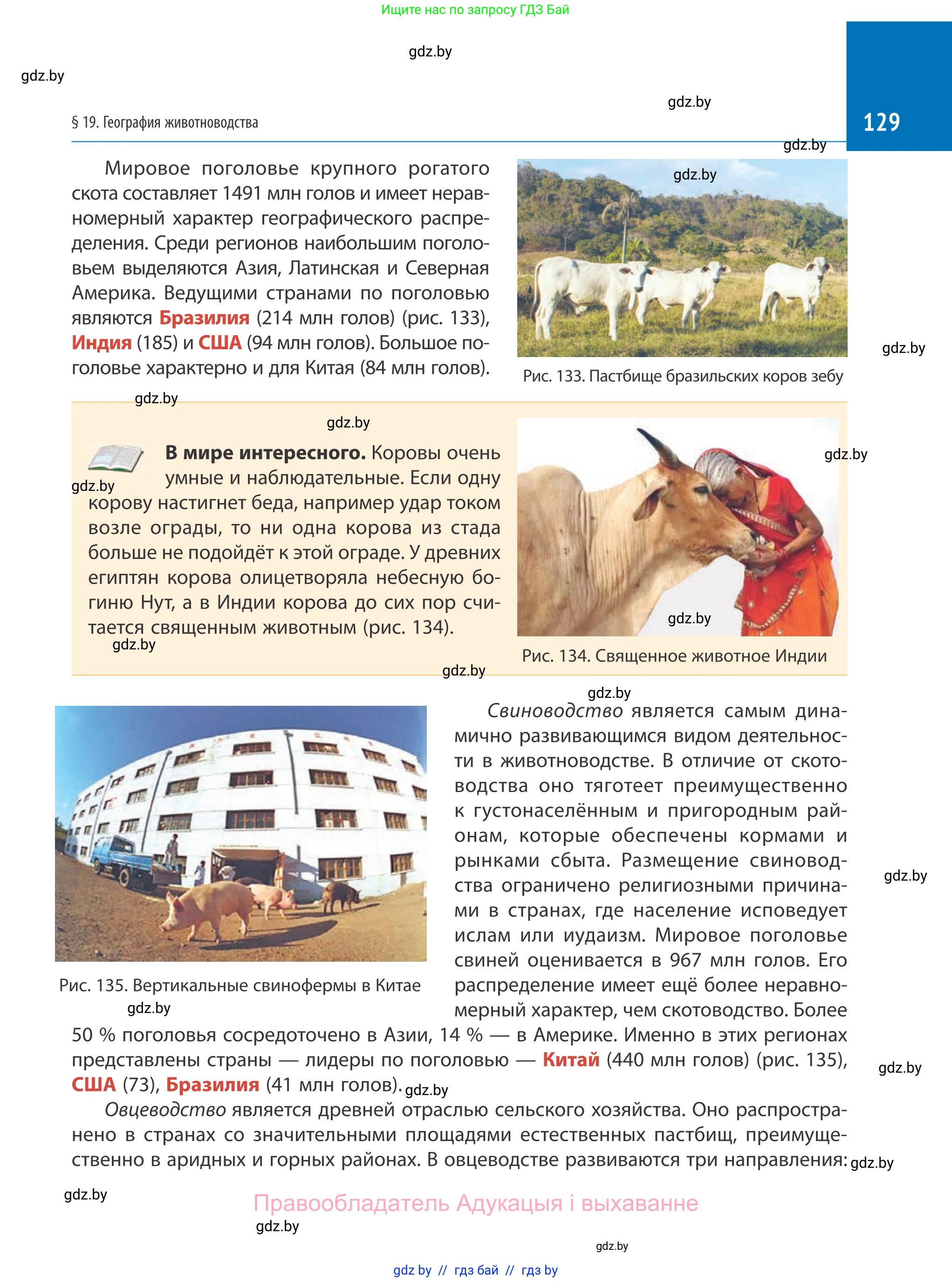 География, 10 класс Учебник, авторы: Антипова Екатерина Анатольевна, Гузова Ольга Николаевна, издательство Адукацыя i выхаванне, Минск, 2019, страница 129