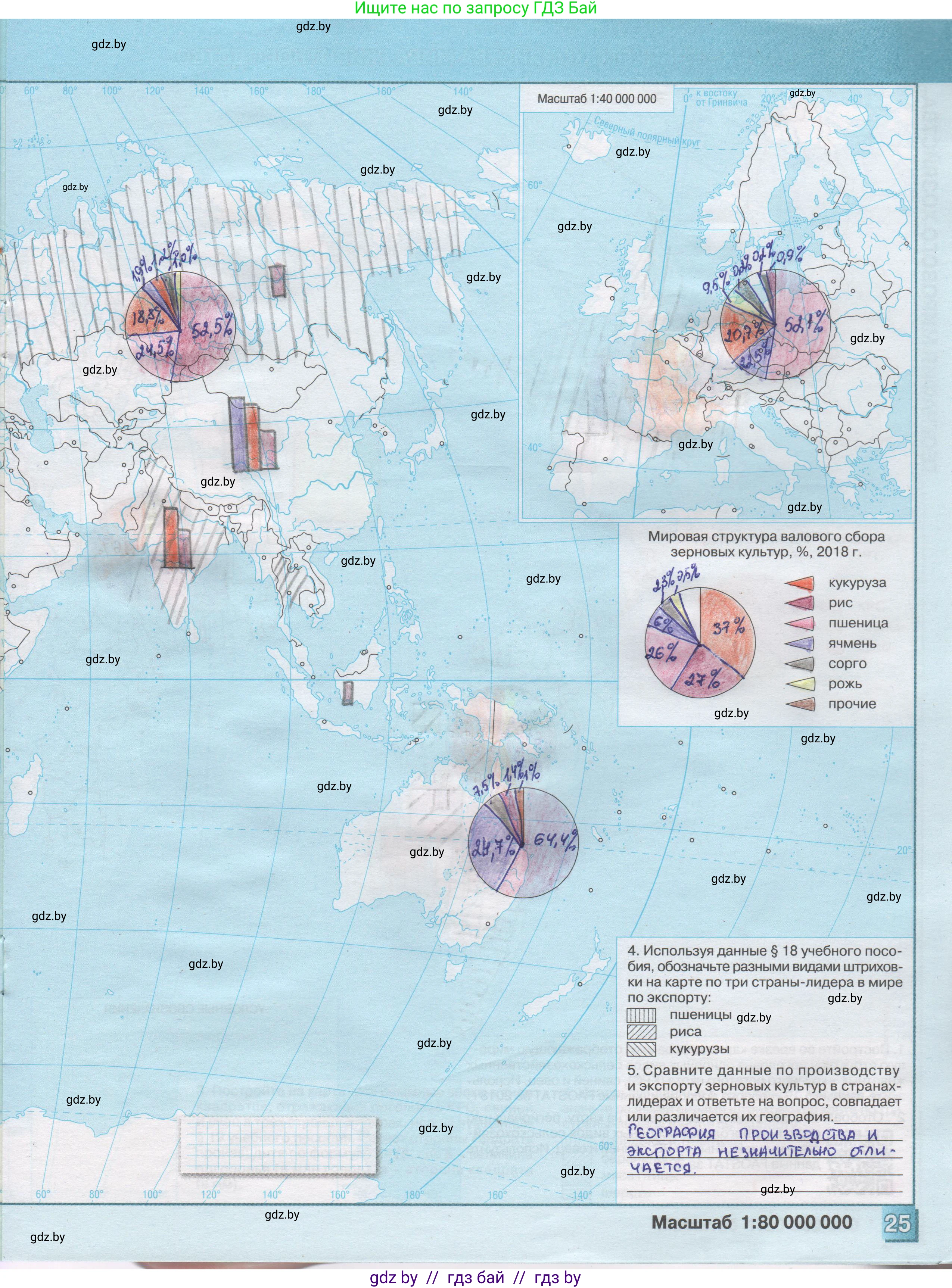 География, 10 класс Контурные карты, авторы: Антипова Екатерина Анатольевна, Гузова Ольга Николаевна, издательство Белкартография, Минск, 2022, голубого цвета, страница 25, Решение