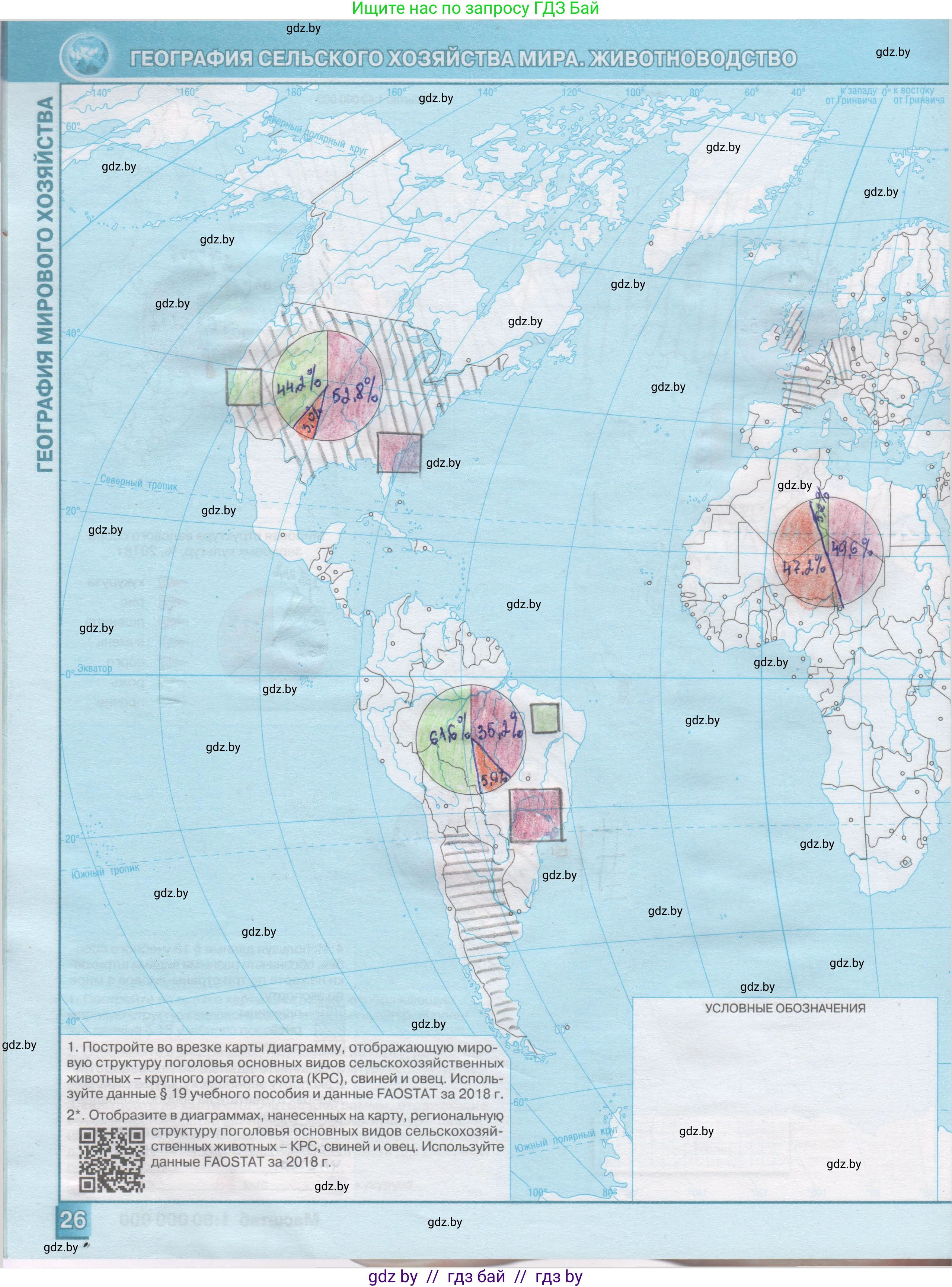 География, 10 класс Контурные карты, авторы: Антипова Екатерина Анатольевна, Гузова Ольга Николаевна, издательство Белкартография, Минск, 2022, голубого цвета, страница 26, Решение