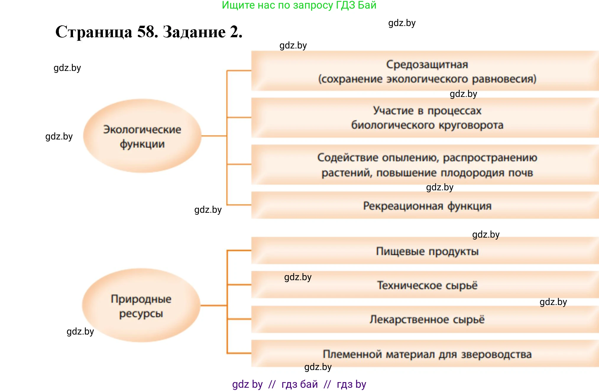 География, 11 класс рабочая тетрадь, авторы: Кольмакова Елена Генадьевна, Тарасенок Елена Николаевна, Сарычева Ольга Владимировна, издательство Аверсэв, Минск, 2022, голубого цвета, страница 58, номер 2, Решение