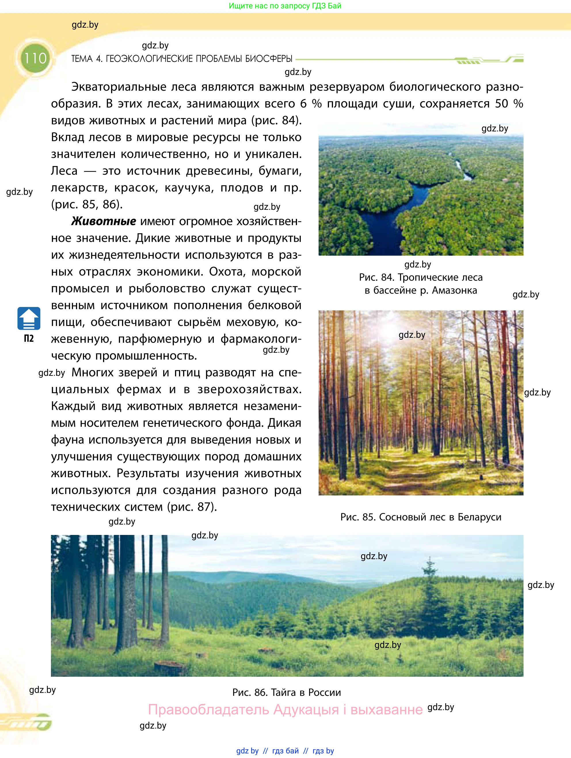 География, 11 класс Учебник, авторы: Витченко Александр Николаевич, Антипова Екатерина Анатольевна, Гузова Ольга Николаевна, издательство Адукацыя i выхаванне, Минск, 2021, страница 110