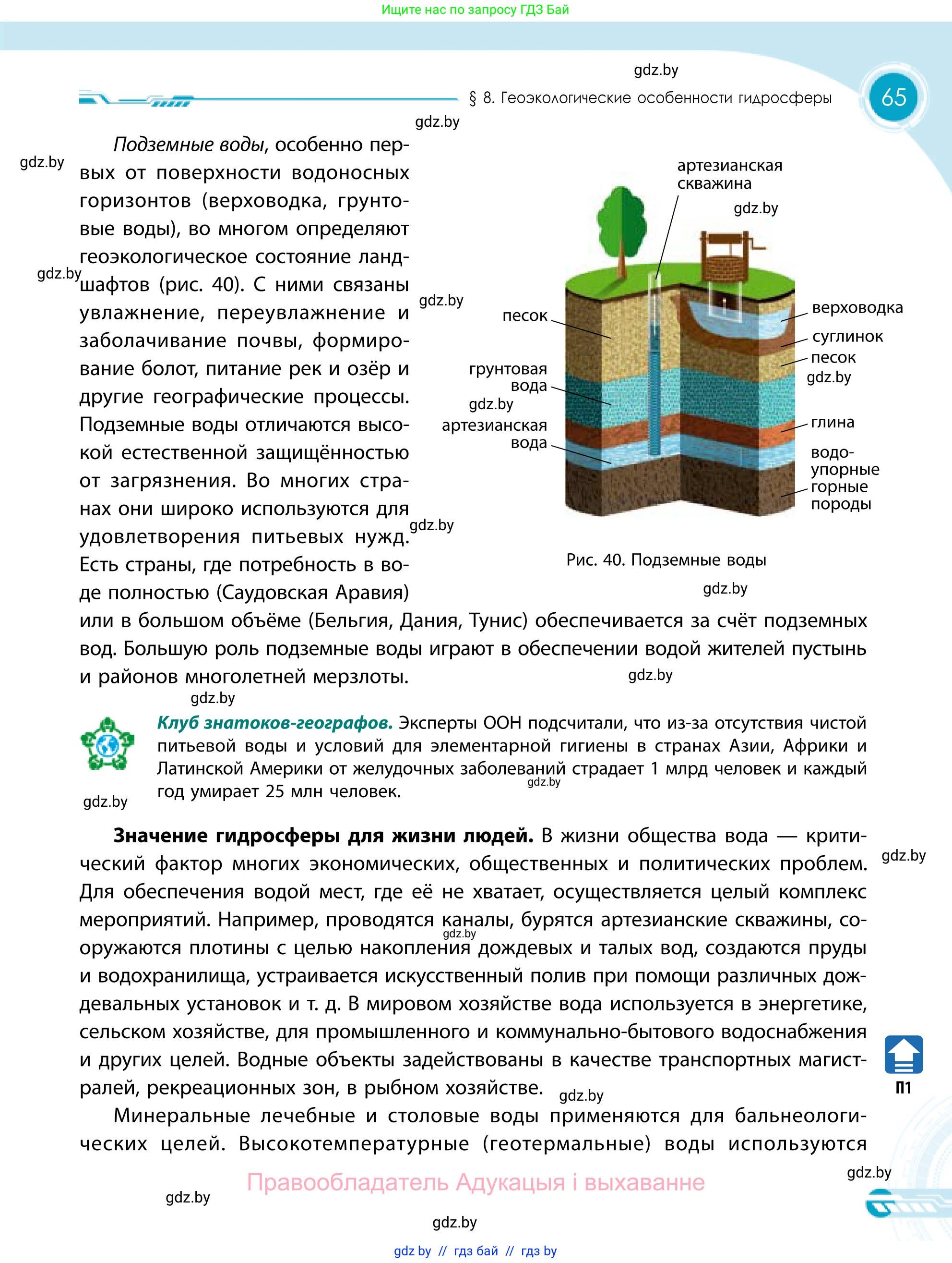 География, 11 класс Учебник, авторы: Витченко Александр Николаевич, Антипова Екатерина Анатольевна, Гузова Ольга Николаевна, издательство Адукацыя i выхаванне, Минск, 2021, страница 65