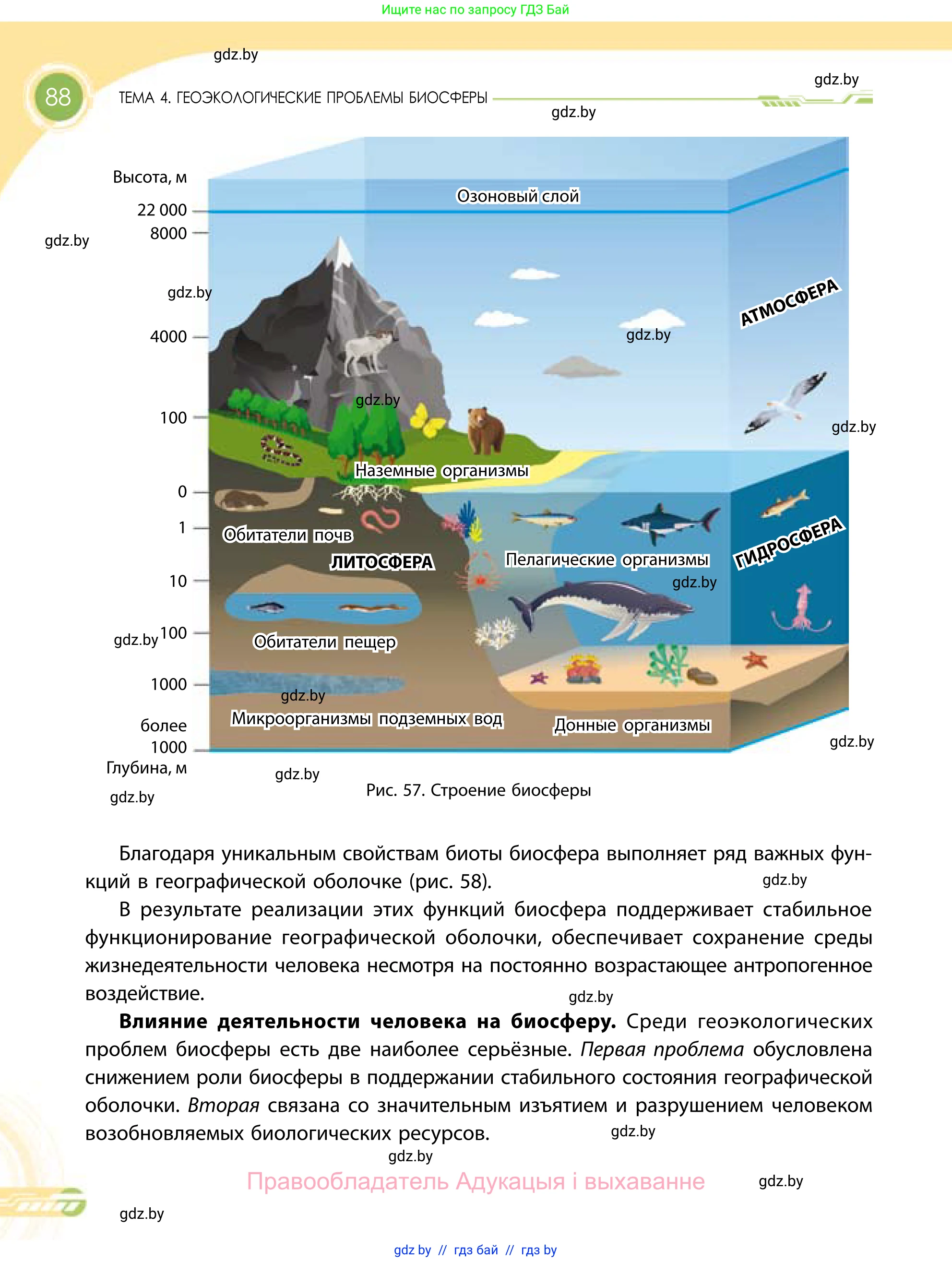 География, 11 класс Учебник, авторы: Витченко Александр Николаевич, Антипова Екатерина Анатольевна, Гузова Ольга Николаевна, издательство Адукацыя i выхаванне, Минск, 2021, страница 88