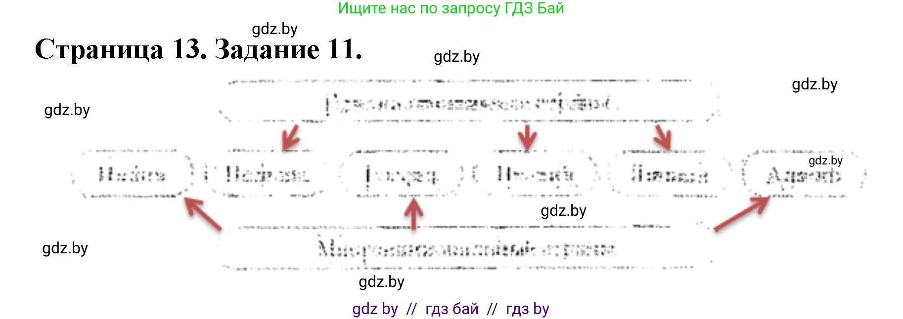 География, 8 класс Тетрадь для практических работ и индивидуальных заданий, авторы: Витченко Александр Николаевич, Антипова Екатерина Анатольевна, Станкевич Наталья Григорьевна, издательство Аверсэв, Минск, 2024, страница 13, номер 11, Решение