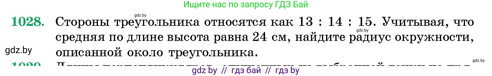 Геометрия, 10 класс Сборник задач, авторы: Латотин Леонид Александрович, Чеботаревский Борис Дмитриевич, издательство Народная асвета, Минск, 2021, страница 143, номер 1028, Условие