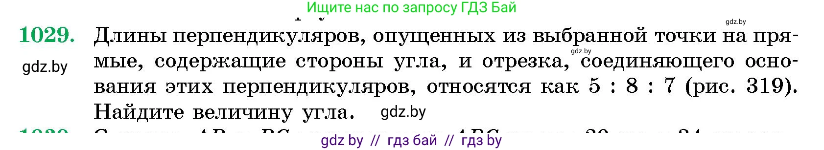 Геометрия, 10 класс Сборник задач, авторы: Латотин Леонид Александрович, Чеботаревский Борис Дмитриевич, издательство Народная асвета, Минск, 2021, страница 143, номер 1029, Условие
