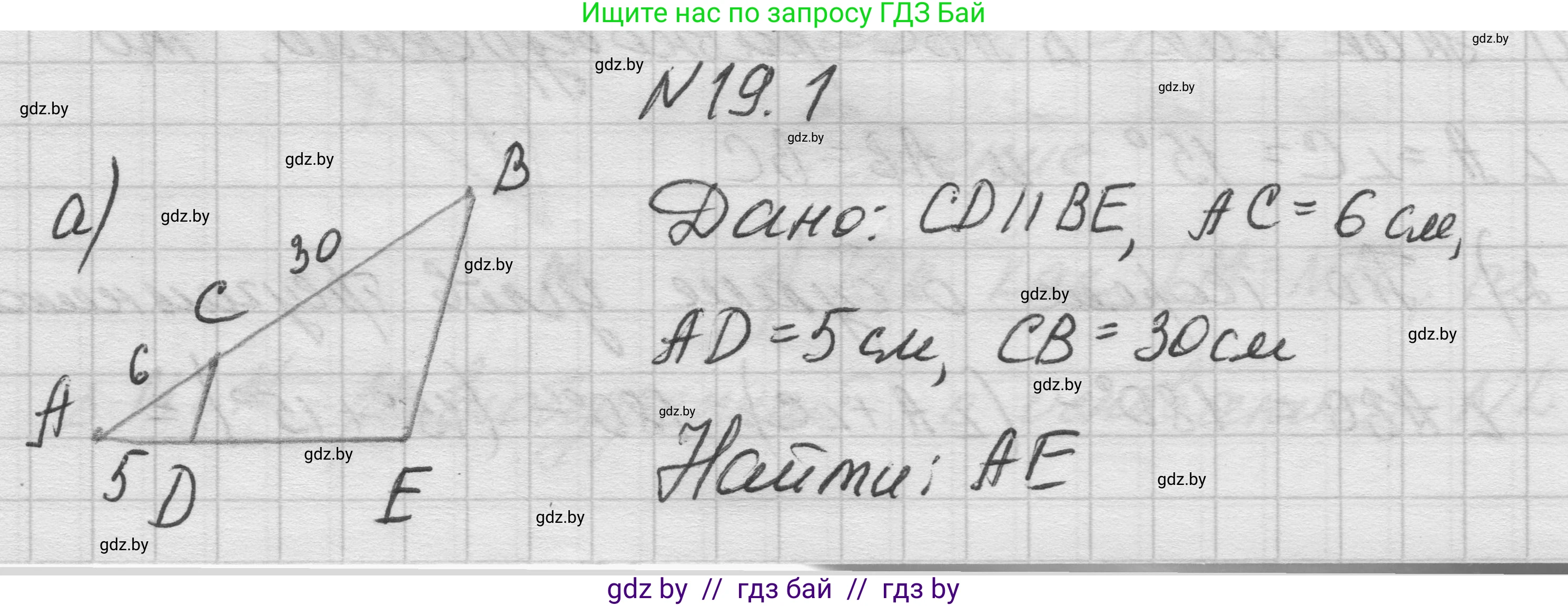 Геометрия, 7-9 класс Сборник задач, авторы: Кононов Сергей Гаврилович, Адамович Тамара Антоновна, Ефимцева Ирина Валерьяновна, Ячейко Таиса Владимировна, издательство Народная асвета, Минск, 2023, страница 100, номер 19.1, Решение 1