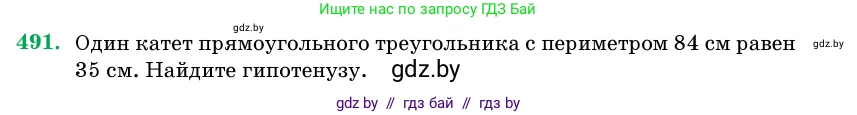 Геометрия, 11 класс Учебник, авторы: Латотин Леонид Александрович, Чеботаревский Борис Дмитриевич, Горбунова Ирина Владимировна, Цыбулько Оксана Евгеньевна, издательство Белорусская Энциклопедия имени Петруся Бровки, Минск, 2020, белого цвета, страница 170, номер 491, Условие