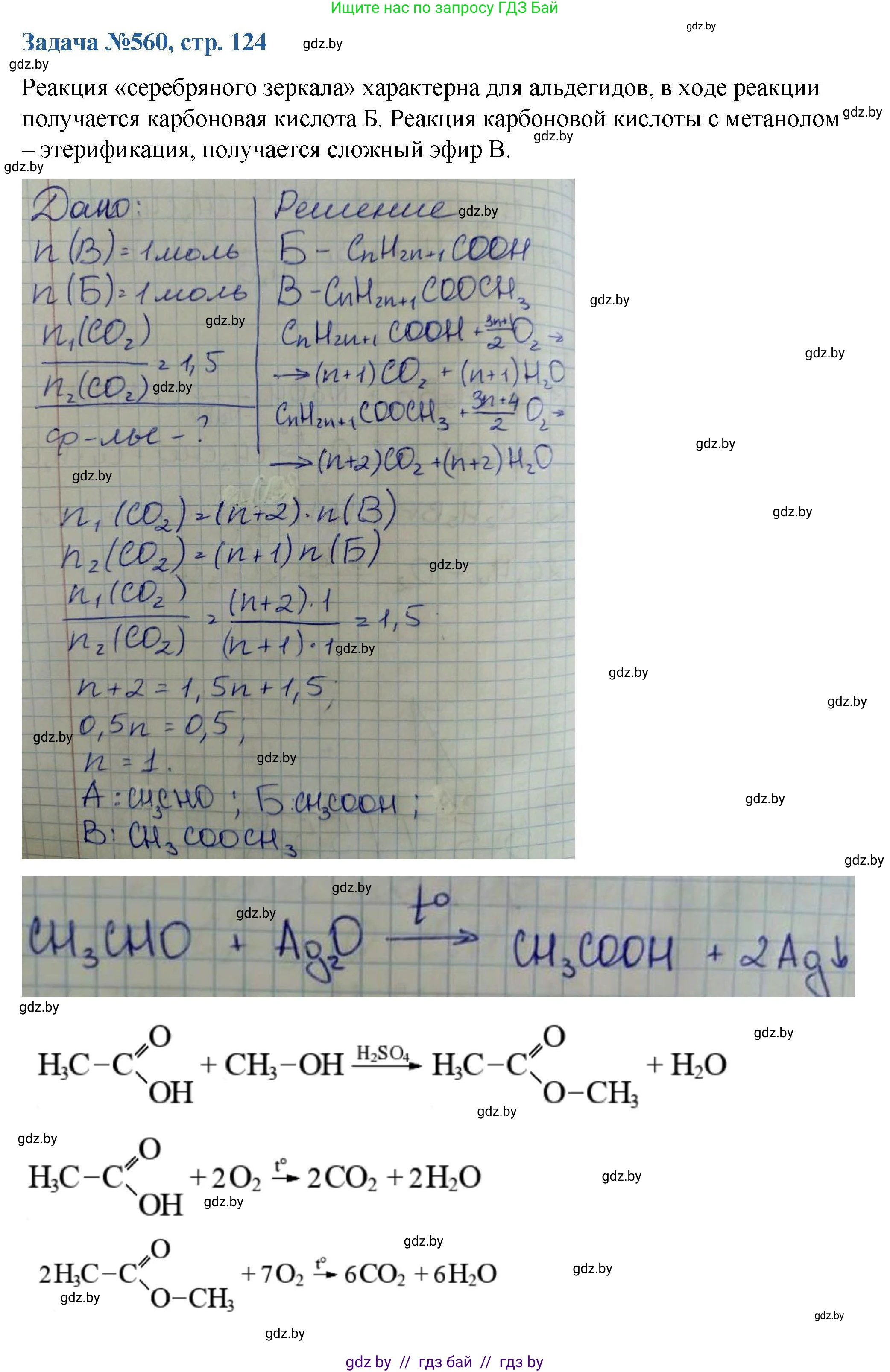 Химия, 10 класс Сборник задач, авторы: Матулис Вадим Эдвардович, Матулис Виталий Эдвардович, Колевич Татьяна Александровна, издательство Национальный институт образования, Минск, 2021, страница 124, номер 560, Решение