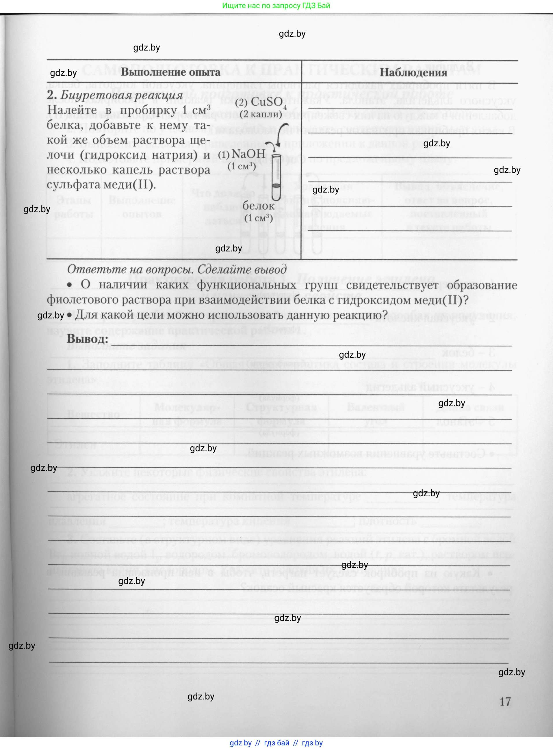 Химия, 10 класс Тетрадь для практических работ, автор: Борушко Ирина Ивановна, издательство Сэр-Вит, Минск, 2020, голубого цвета, Часть 1, страница 17