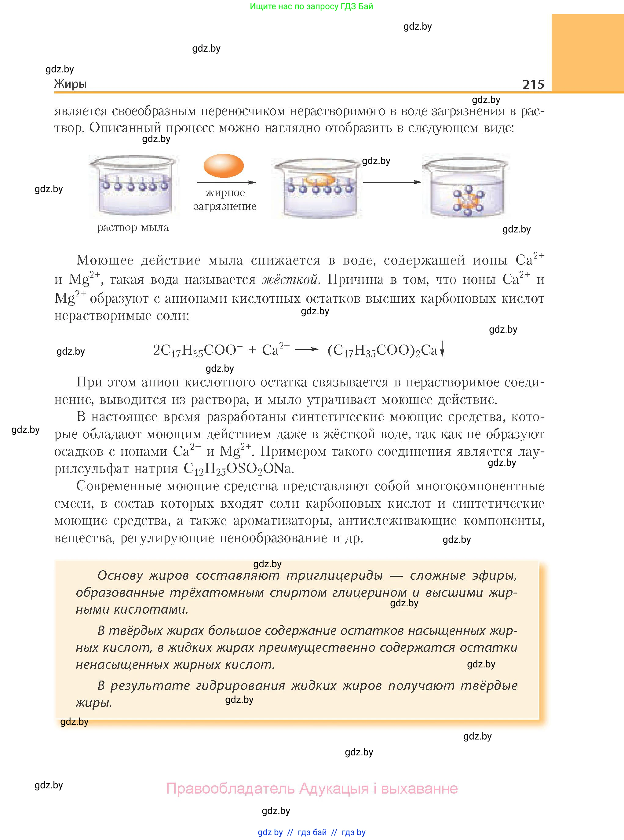 Химия, 10 класс Учебник, авторы: Колевич Татьяна Александровна, Матулис Вадим Эдвардович, Матулис Виталий Эдвардович, Варакса Игорь Николаевич, издательство Адукацыя i выхаванне, Минск, 2019, страница 215