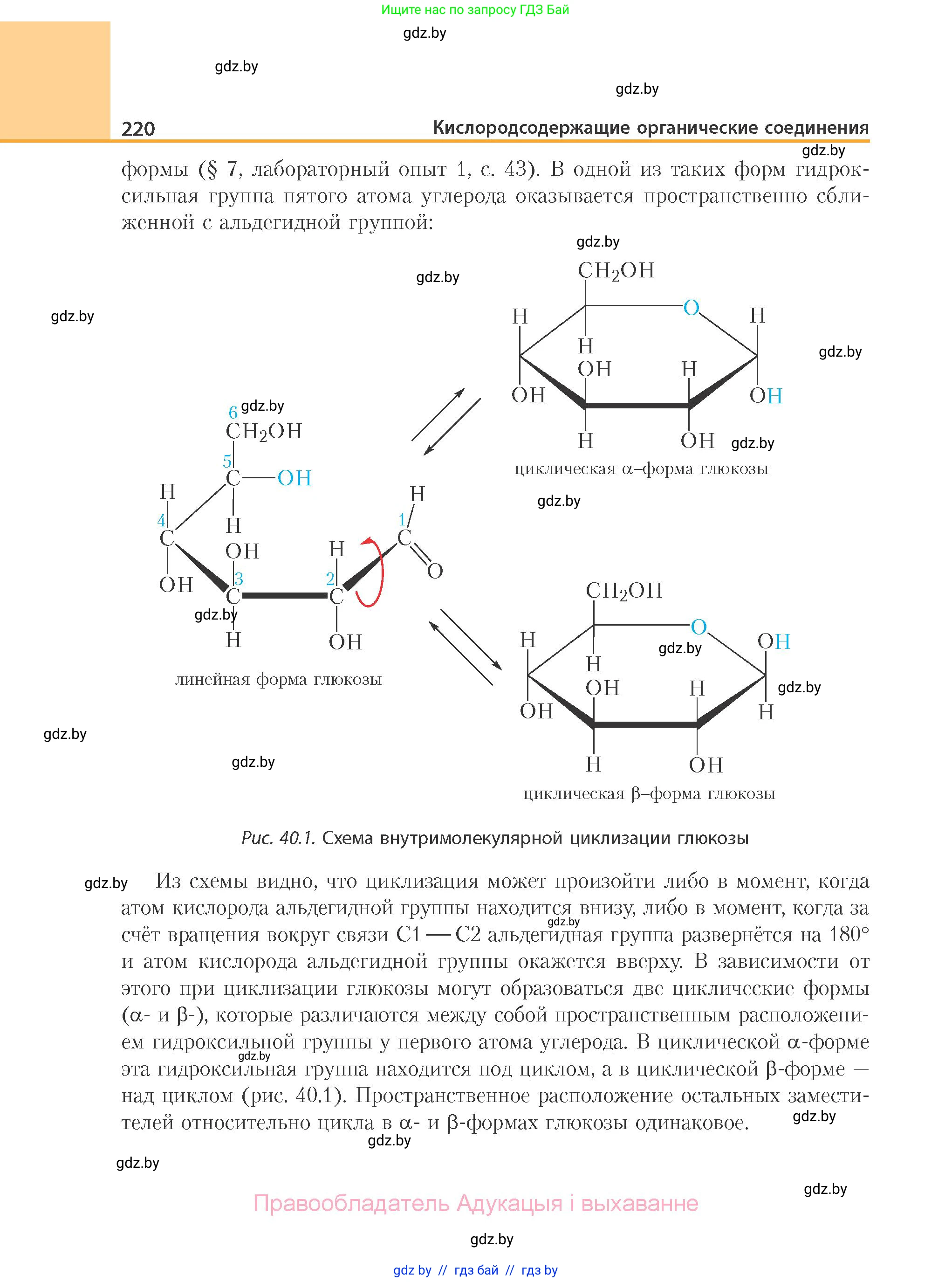 Химия, 10 класс Учебник, авторы: Колевич Татьяна Александровна, Матулис Вадим Эдвардович, Матулис Виталий Эдвардович, Варакса Игорь Николаевич, издательство Адукацыя i выхаванне, Минск, 2019, страница 220