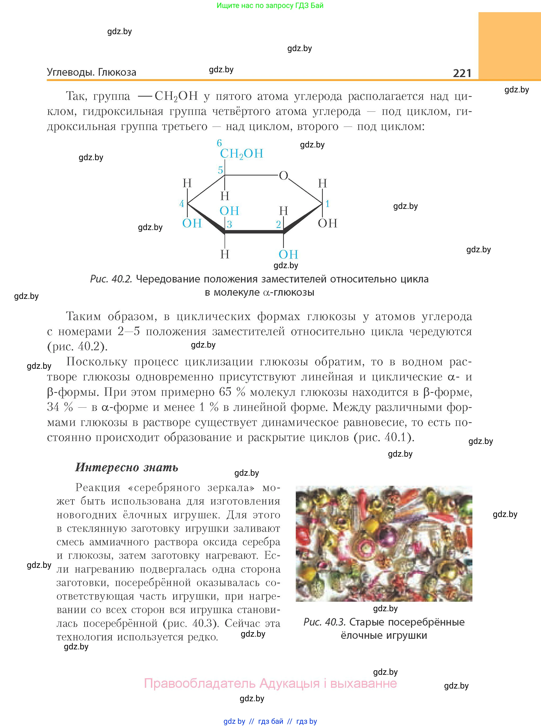 Химия, 10 класс Учебник, авторы: Колевич Татьяна Александровна, Матулис Вадим Эдвардович, Матулис Виталий Эдвардович, Варакса Игорь Николаевич, издательство Адукацыя i выхаванне, Минск, 2019, страница 221