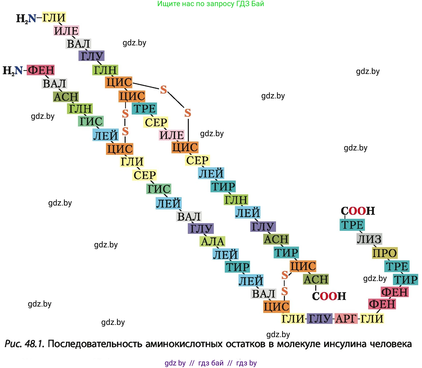 Химия, 10 класс Учебник, авторы: Колевич Татьяна Александровна, Матулис Вадим Эдвардович, Матулис Виталий Эдвардович, Варакса Игорь Николаевич, издательство Адукацыя i выхаванне, Минск, 2019, страница 272, номер 5, Условие (продолжение 2)