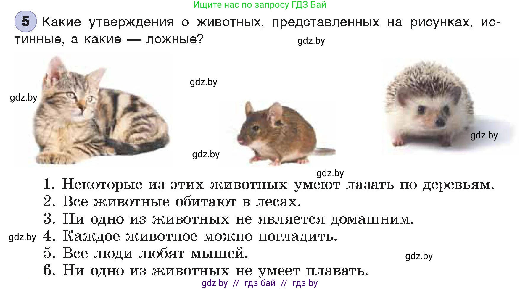 Информатика, 7 класс Учебник, авторы: Котов Владимир Михайлович, Лапо Анжелика Ивановна, Войтехович Елена Николаевна, издательство Народная асвета, Минск, 2017, страница 24, номер 5, Условие